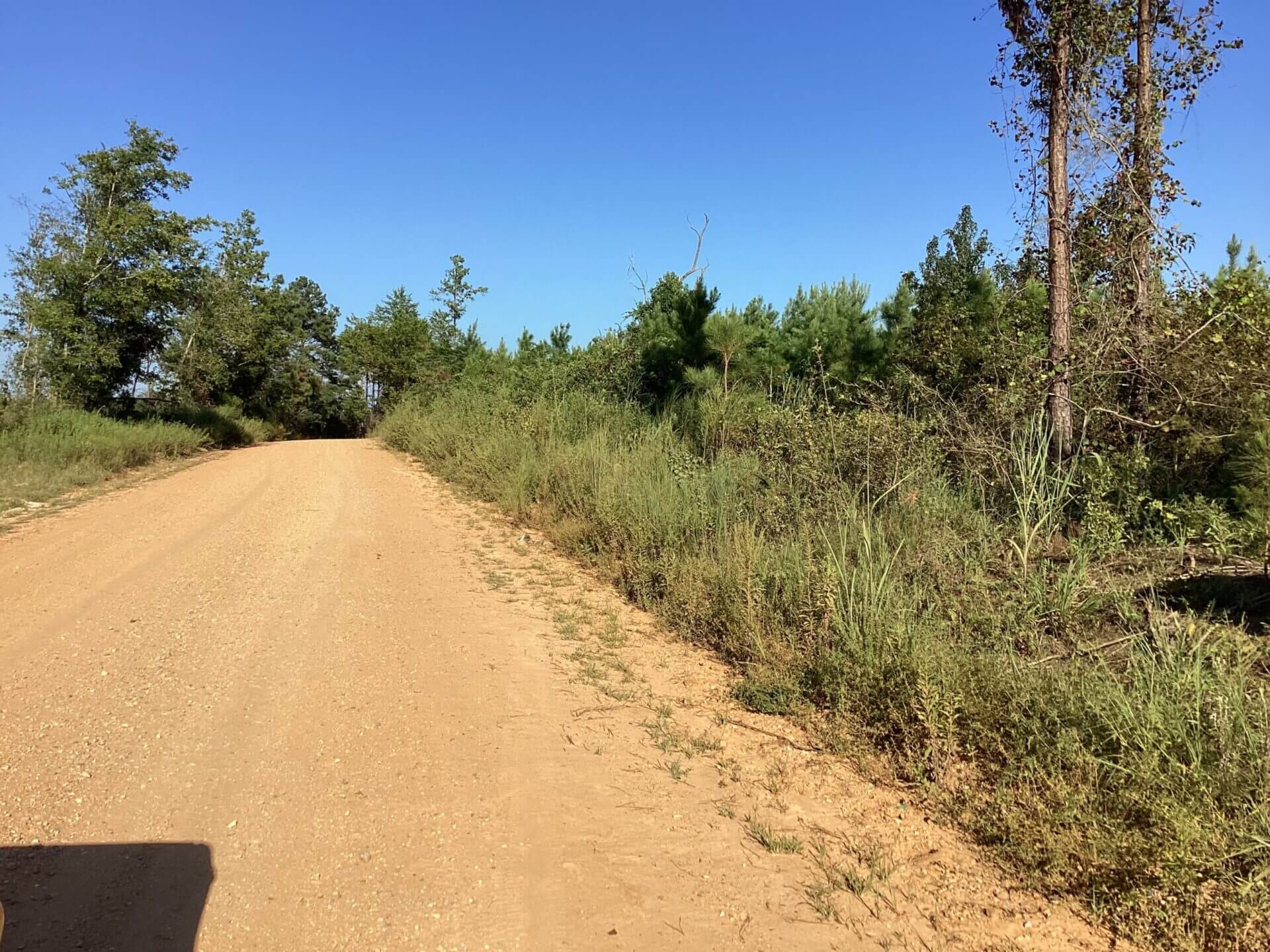 POND CREEK RD LOTS 10 ACRES EACH LOT LUVERNE, ALABAMA Butler Land