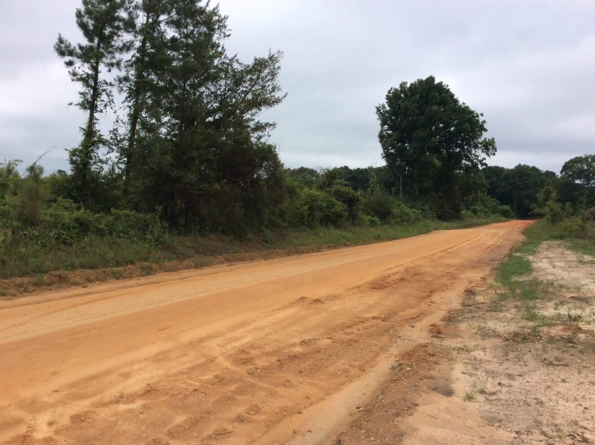 POND CREEK RD LOT 2 LUVERNE, ALABAMA Butler Land & Timber Co