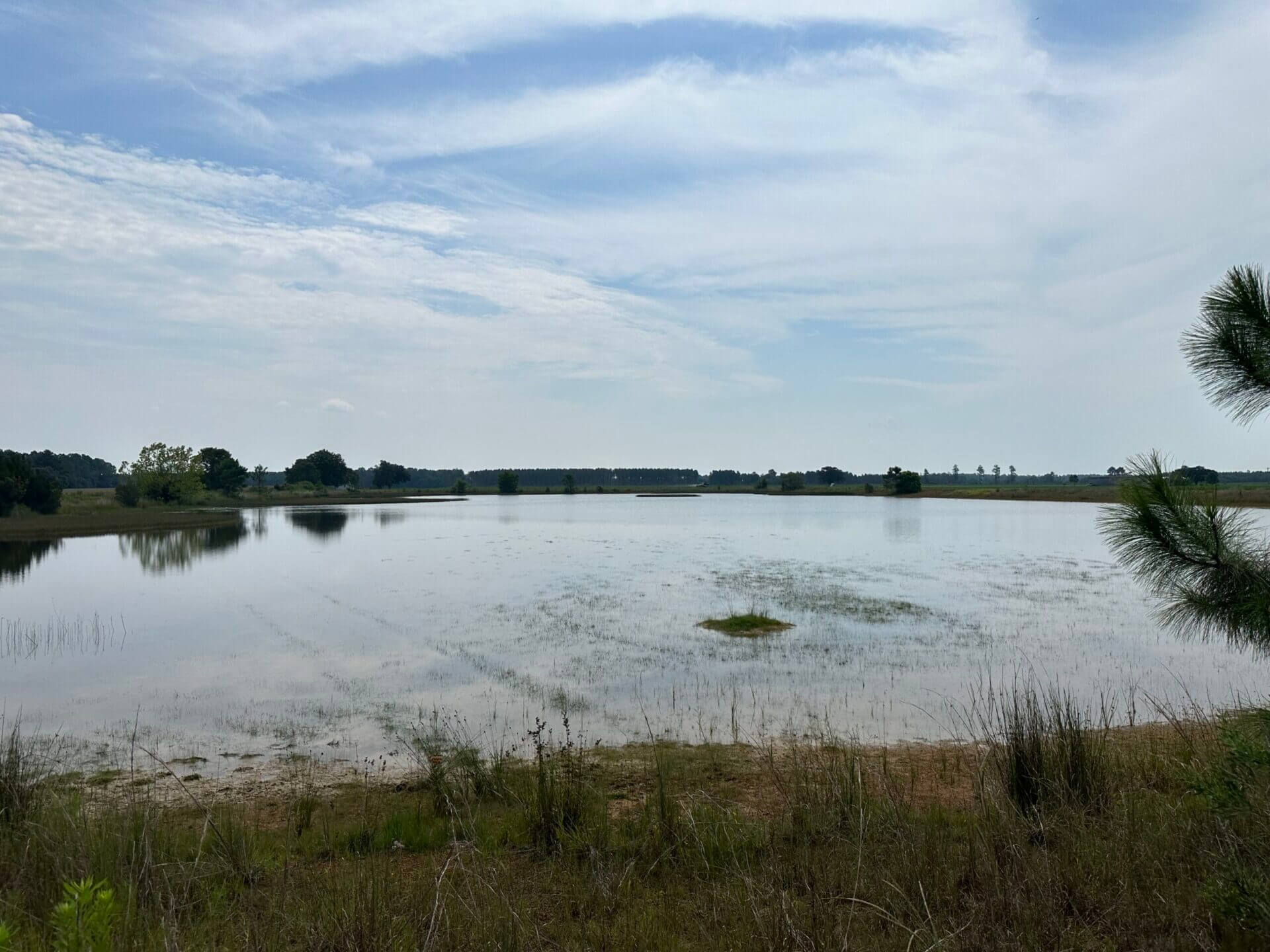 HIGHWAY 99 FARM 115 ACRES MCDAVID, FLORIDA Butler Land & Timber Co