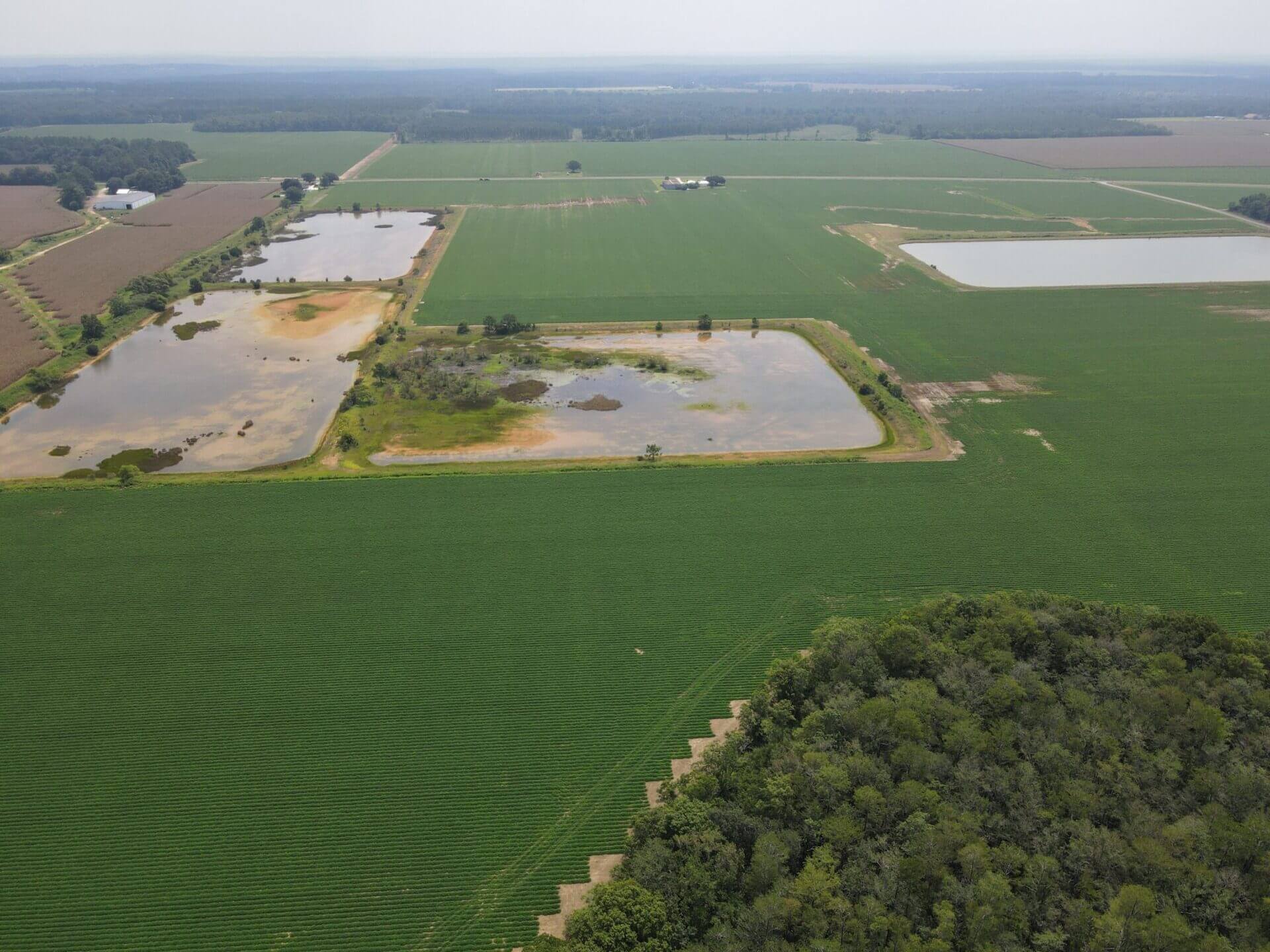 HIGHWAY 99 FARM 115 ACRES MCDAVID, FLORIDA Butler Land & Timber Co