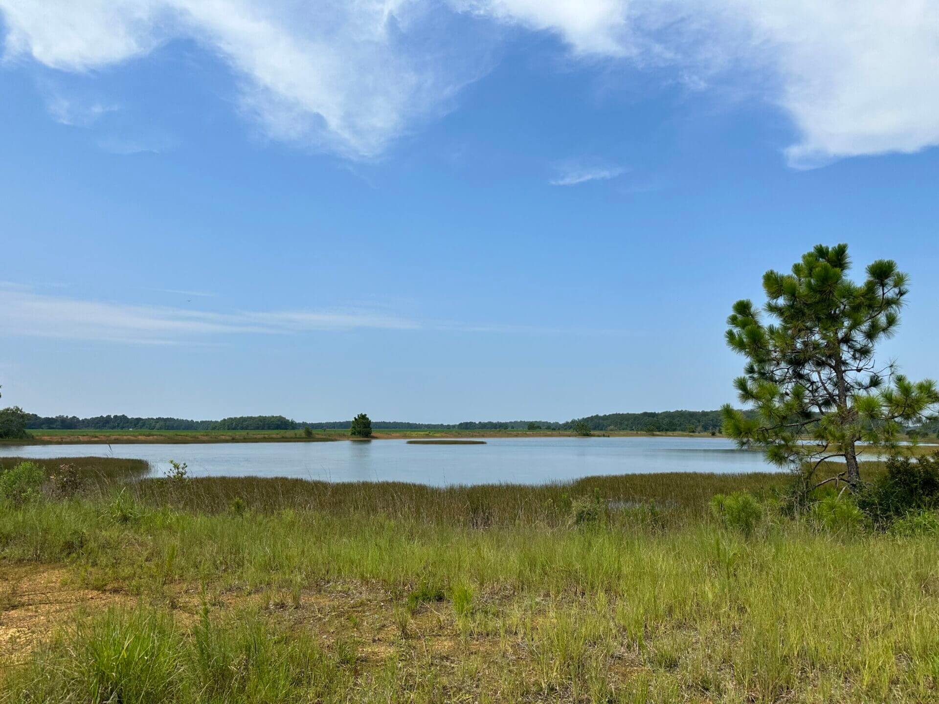 HIGHWAY 99 FARM 115 ACRES MCDAVID, FLORIDA Butler Land & Timber Co