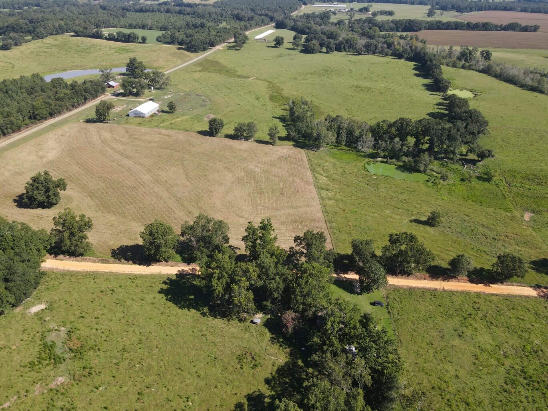 BAGENTS IVY CREEK CHURCH RD CATTLE FARM – 130 ACRES – RUTLEDGE, ALABAMA ...