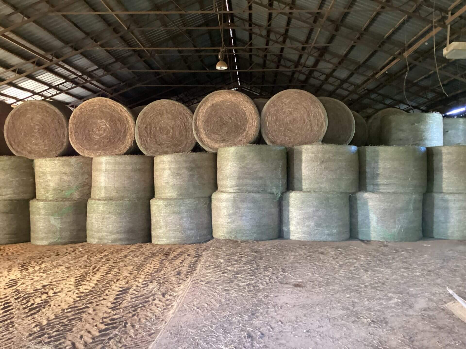 BAGENTS IVY CREEK CHURCH RD CATTLE FARM – 130 ACRES – RUTLEDGE, ALABAMA ...