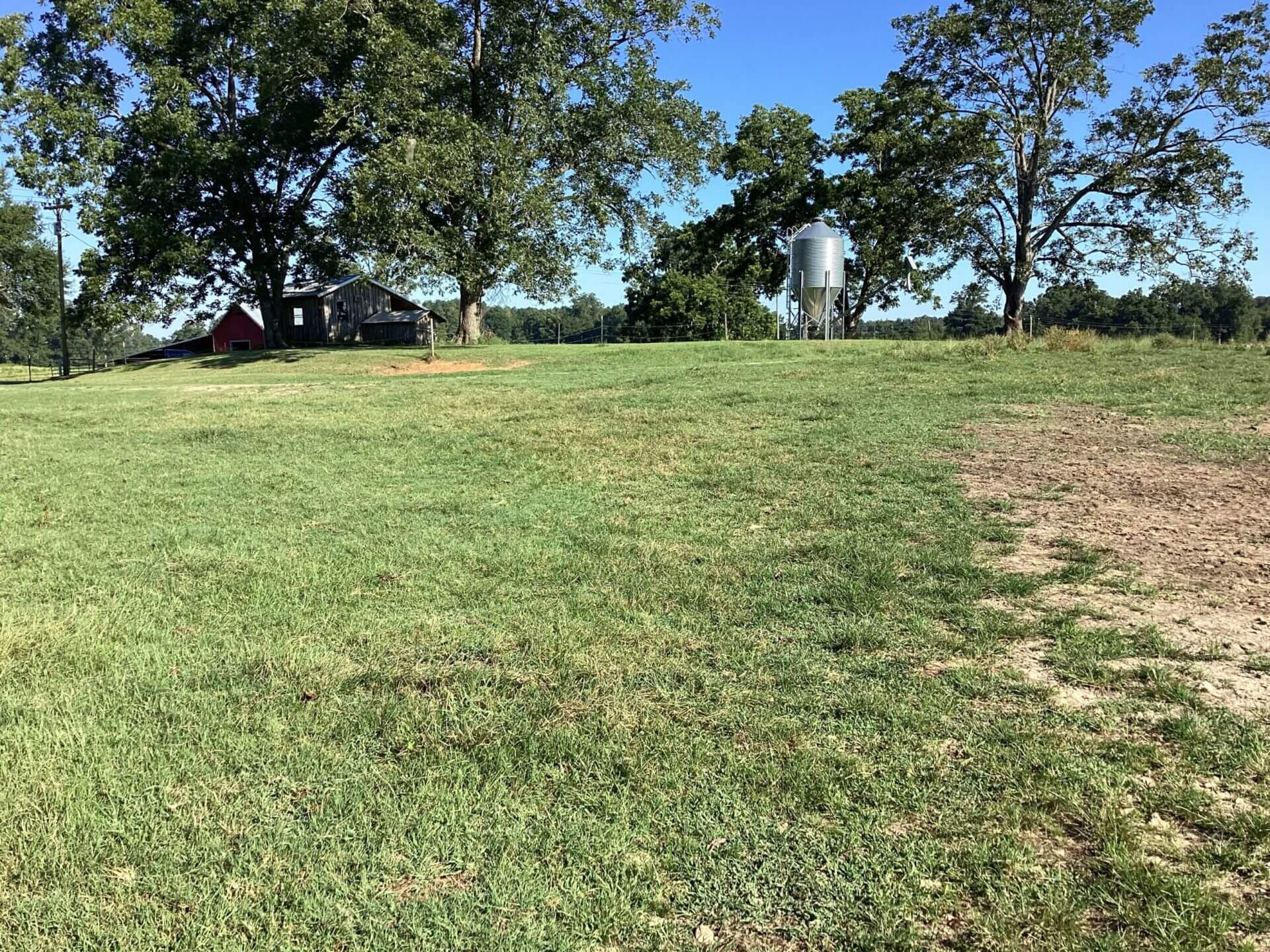 BAGENTS IVY CREEK CHURCH RD CATTLE FARM – 130 ACRES – RUTLEDGE, ALABAMA ...