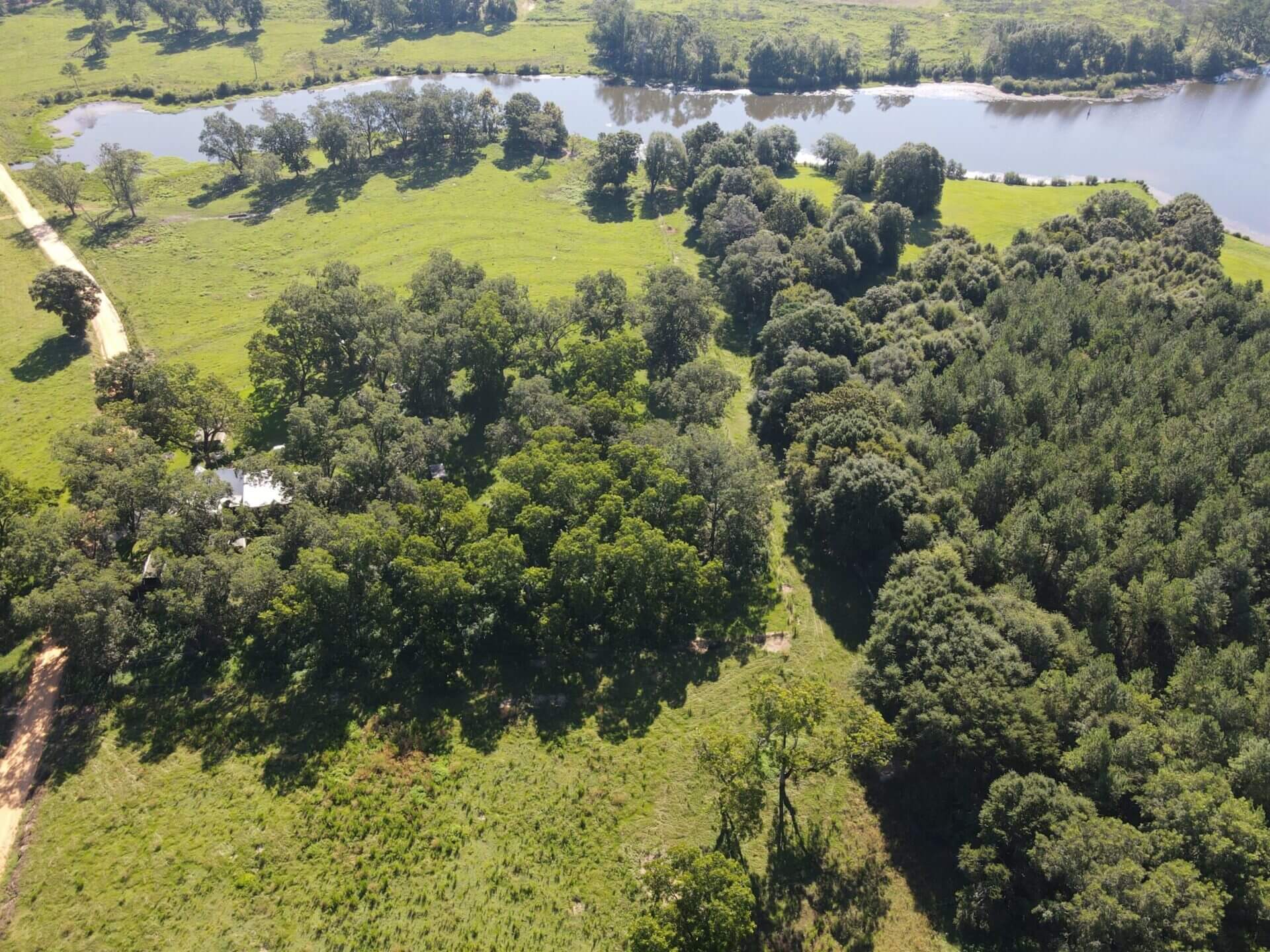 BAGENTS IVY CREEK CHURCH RD CATTLE FARM – 130 ACRES – RUTLEDGE, ALABAMA ...