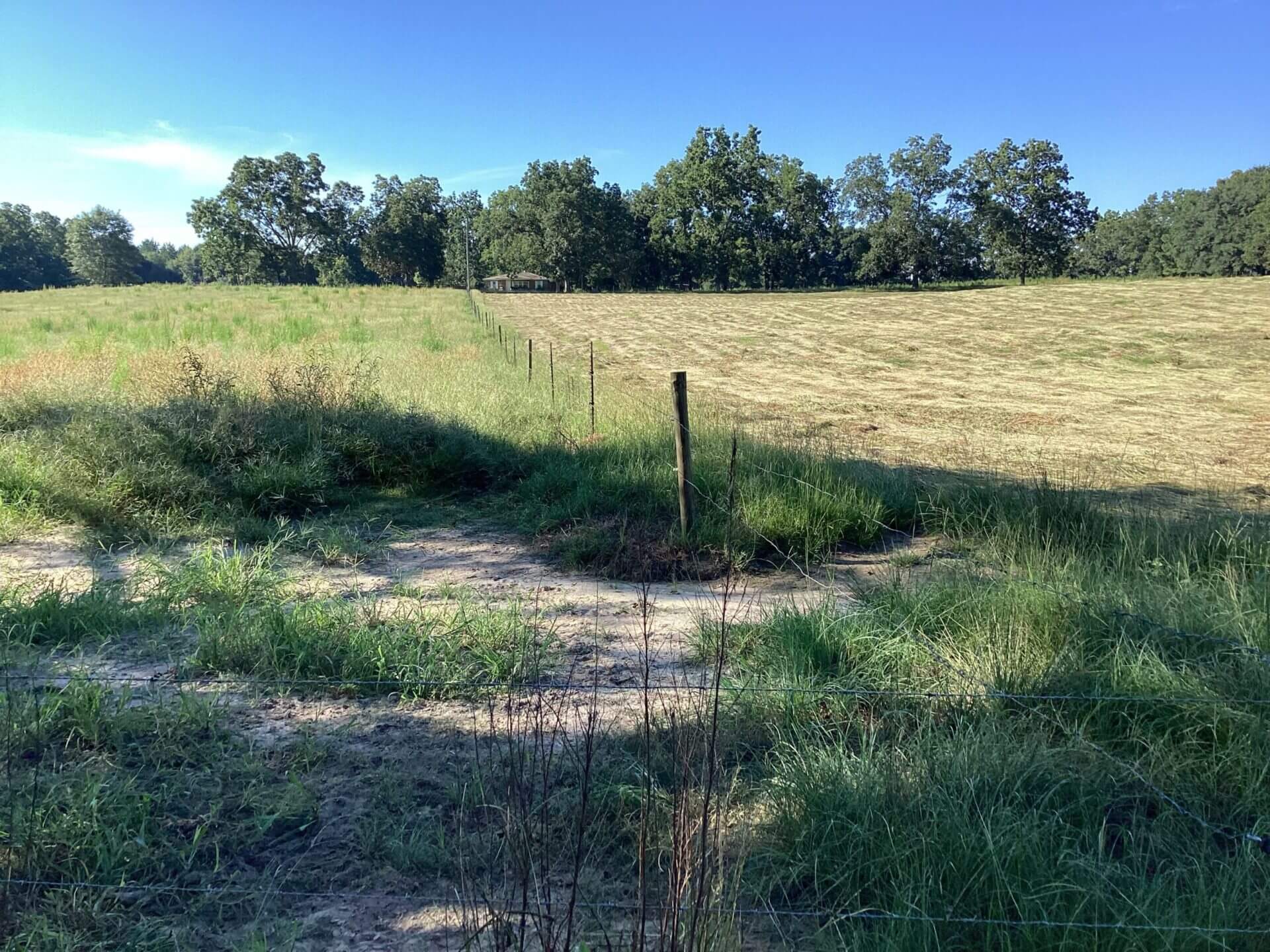 BAGENTS IVY CREEK CHURCH RD CATTLE FARM – 130 ACRES – RUTLEDGE, ALABAMA ...