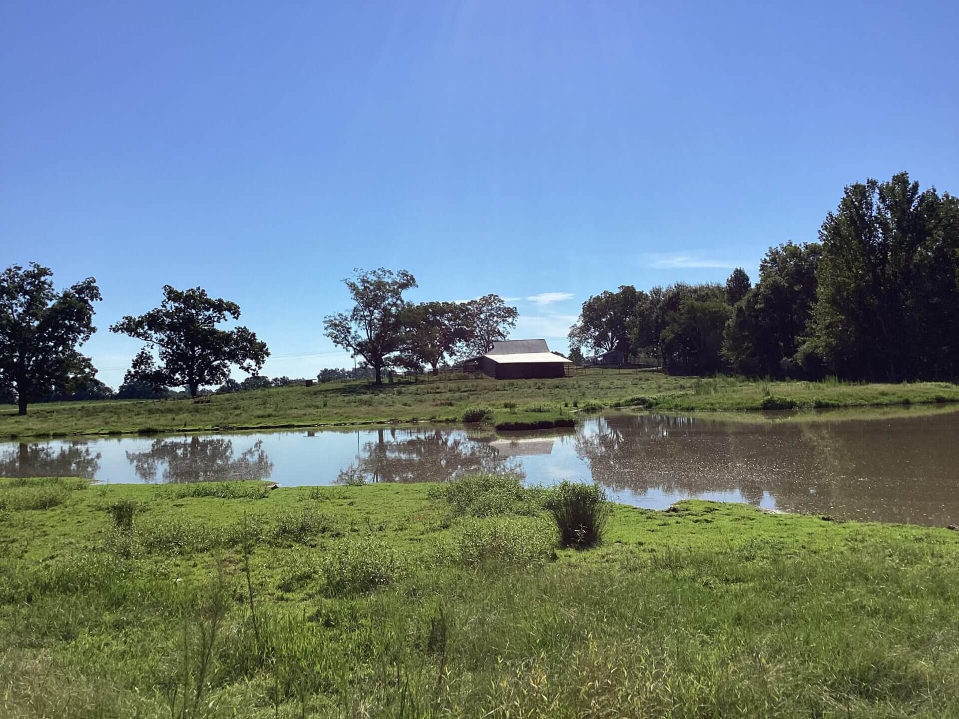 BAGENTS IVY CREEK CHURCH RD CATTLE FARM – 130 ACRES – RUTLEDGE, ALABAMA ...