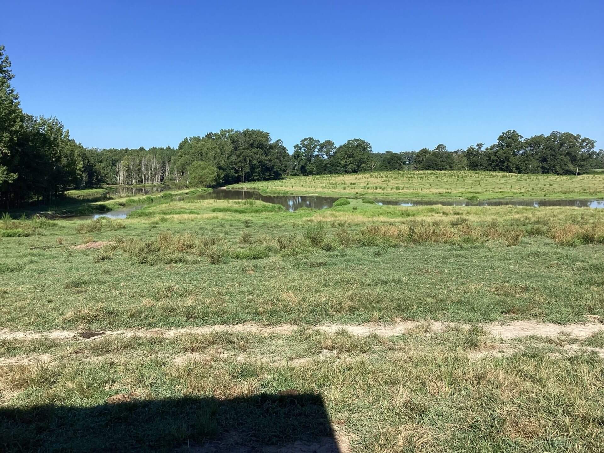 BAGENTS IVY CREEK CHURCH RD CATTLE FARM 130 ACRES RUTLEDGE, ALABAMA Butler Land & Timber Co