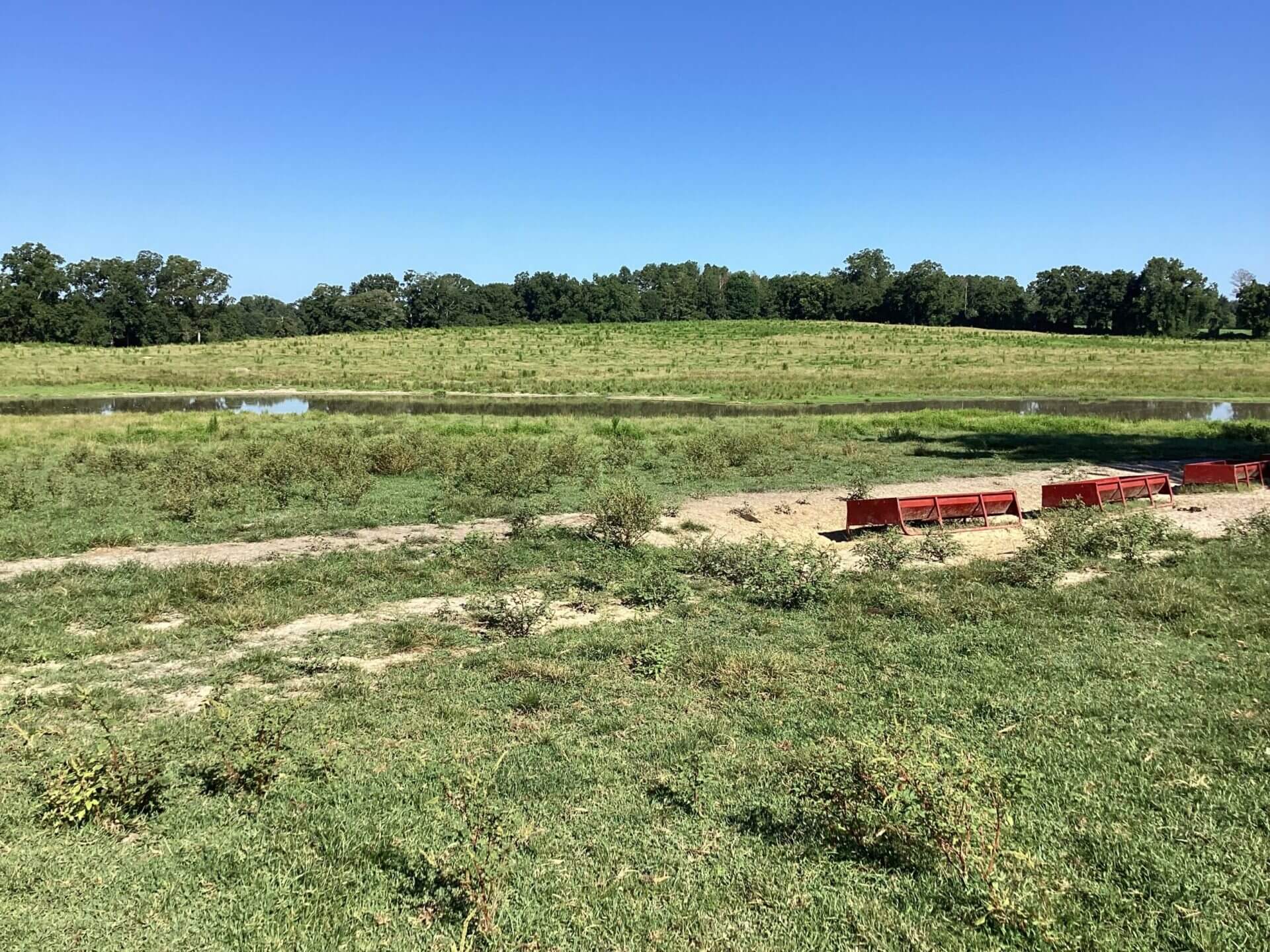 BAGENTS IVY CREEK CHURCH RD CATTLE FARM – 130 ACRES – RUTLEDGE, ALABAMA ...