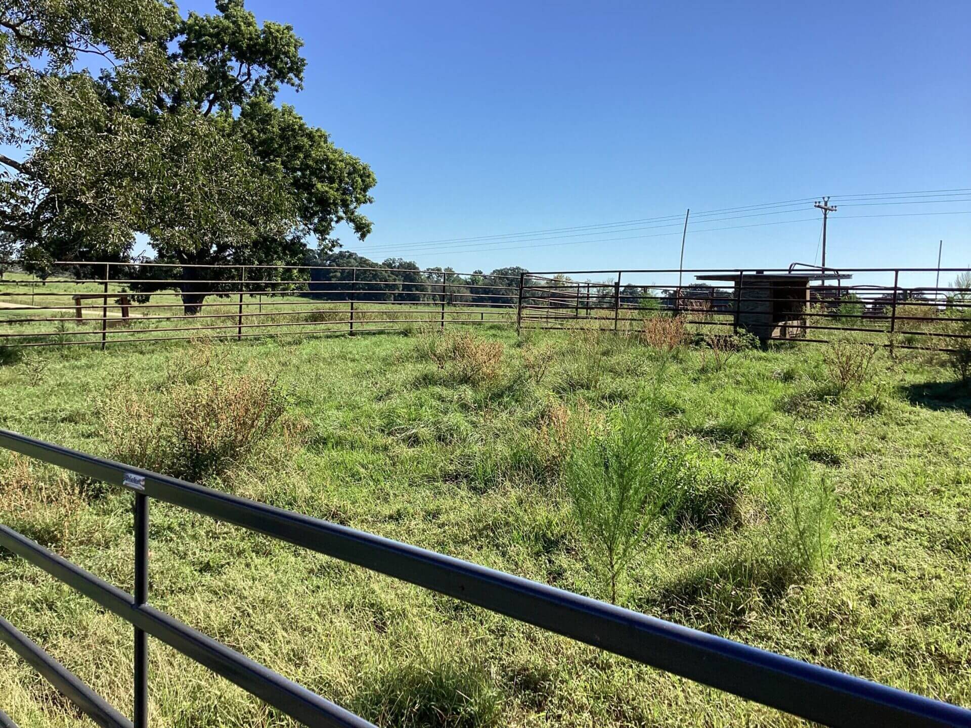 BAGENTS IVY CREEK CHURCH RD CATTLE FARM – 130 ACRES – RUTLEDGE, ALABAMA ...