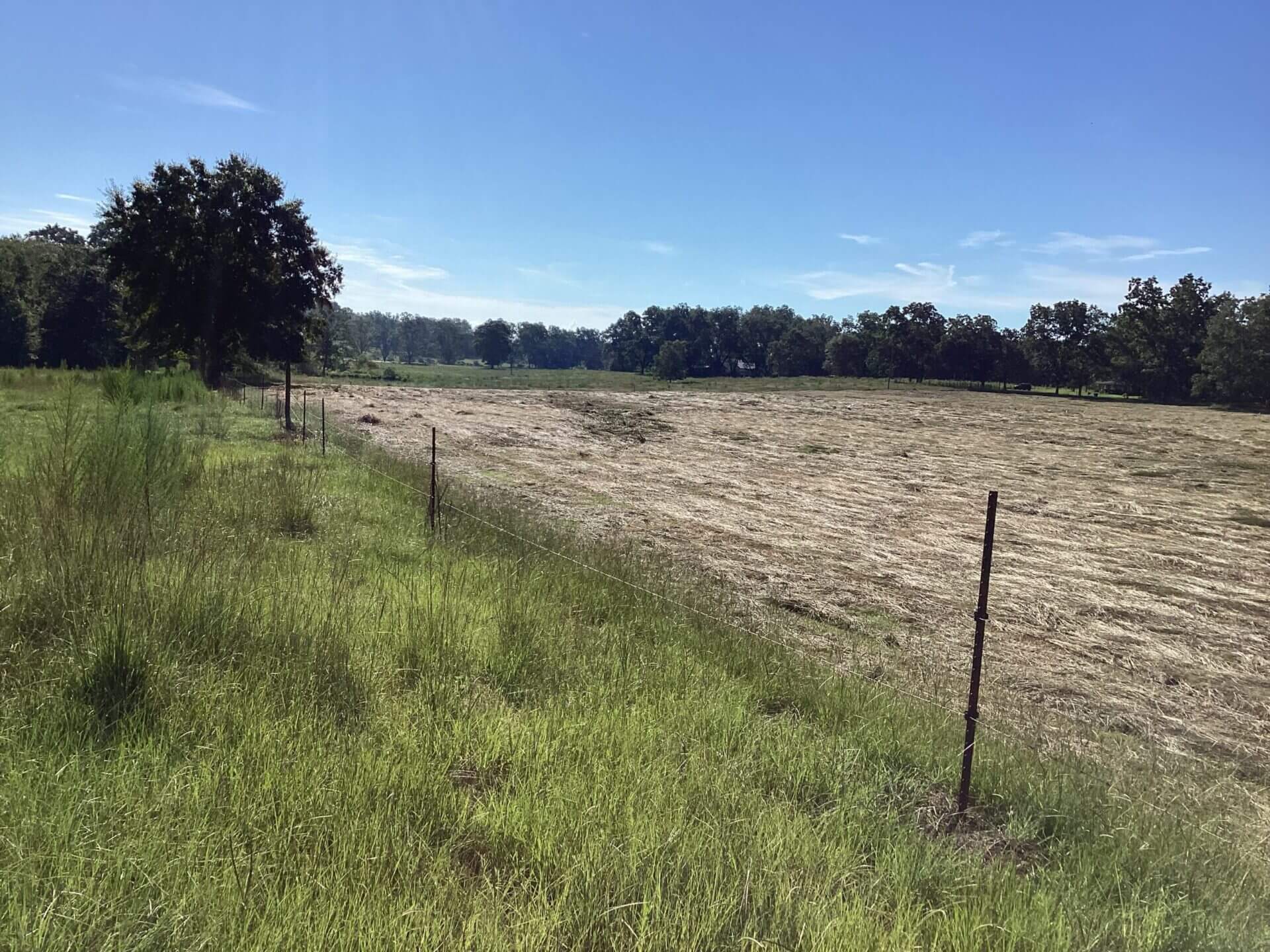 BAGENTS IVY CREEK CHURCH RD CATTLE FARM 130 ACRES RUTLEDGE, ALABAMA Butler Land & Timber Co
