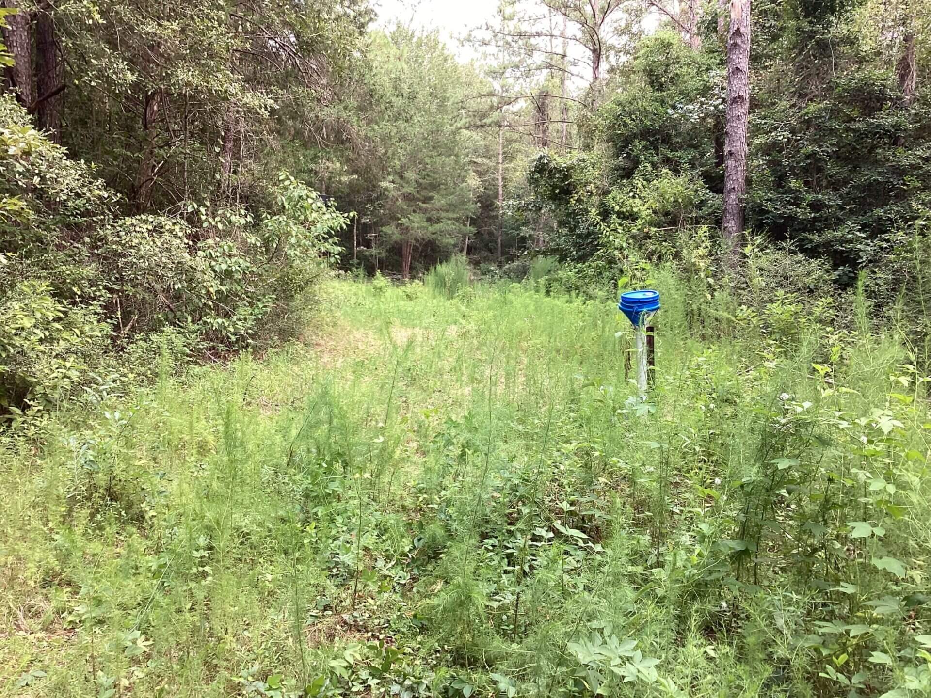 HWY 31 HOUSE AND 40 ACRES BUTLER COUNTY, ALABAMA Butler Land