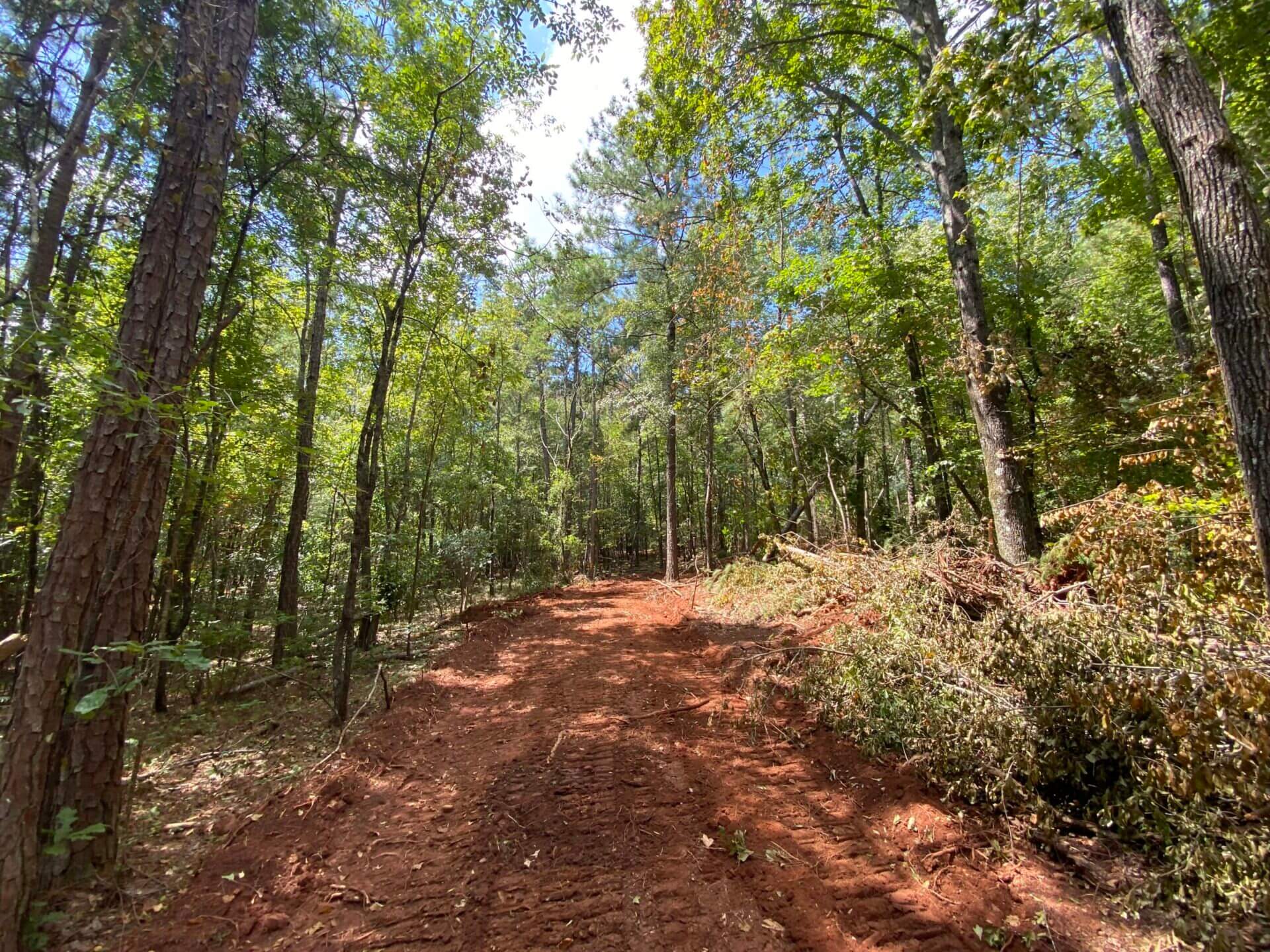 REDUCED PRICE ALPINE 40 ACRES TALLADEGA COUNTY, ALABAMA Butler