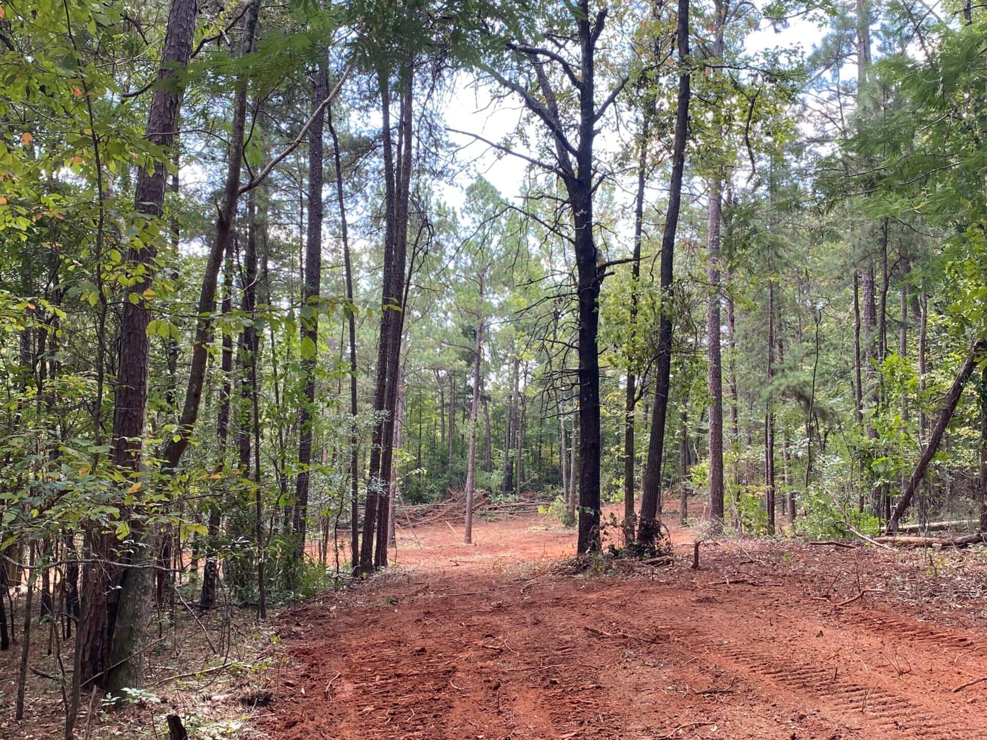 REDUCED PRICE ALPINE 40 ACRES TALLADEGA COUNTY, ALABAMA Butler