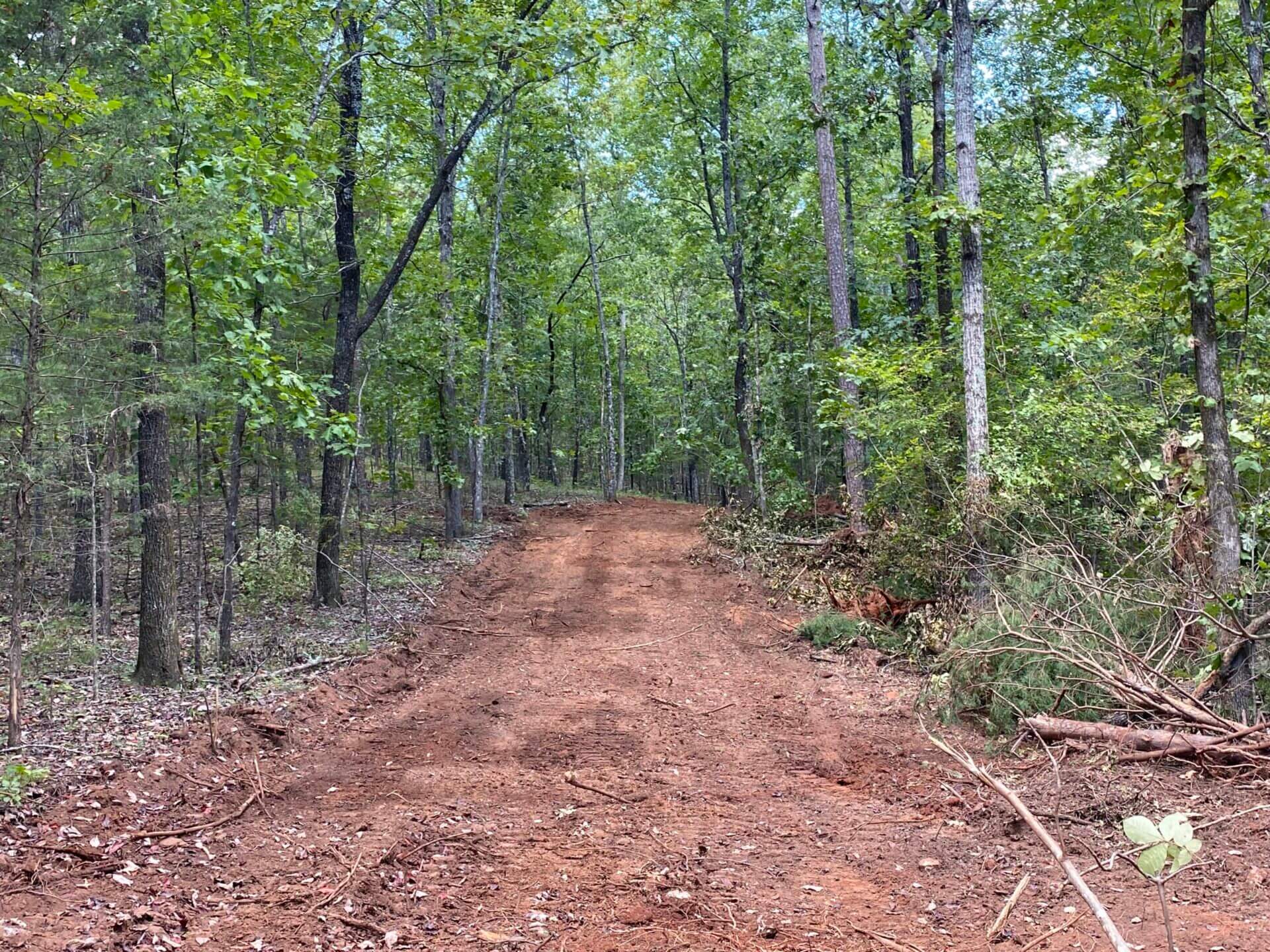 REDUCED PRICE ALPINE 40 ACRES TALLADEGA COUNTY, ALABAMA Butler