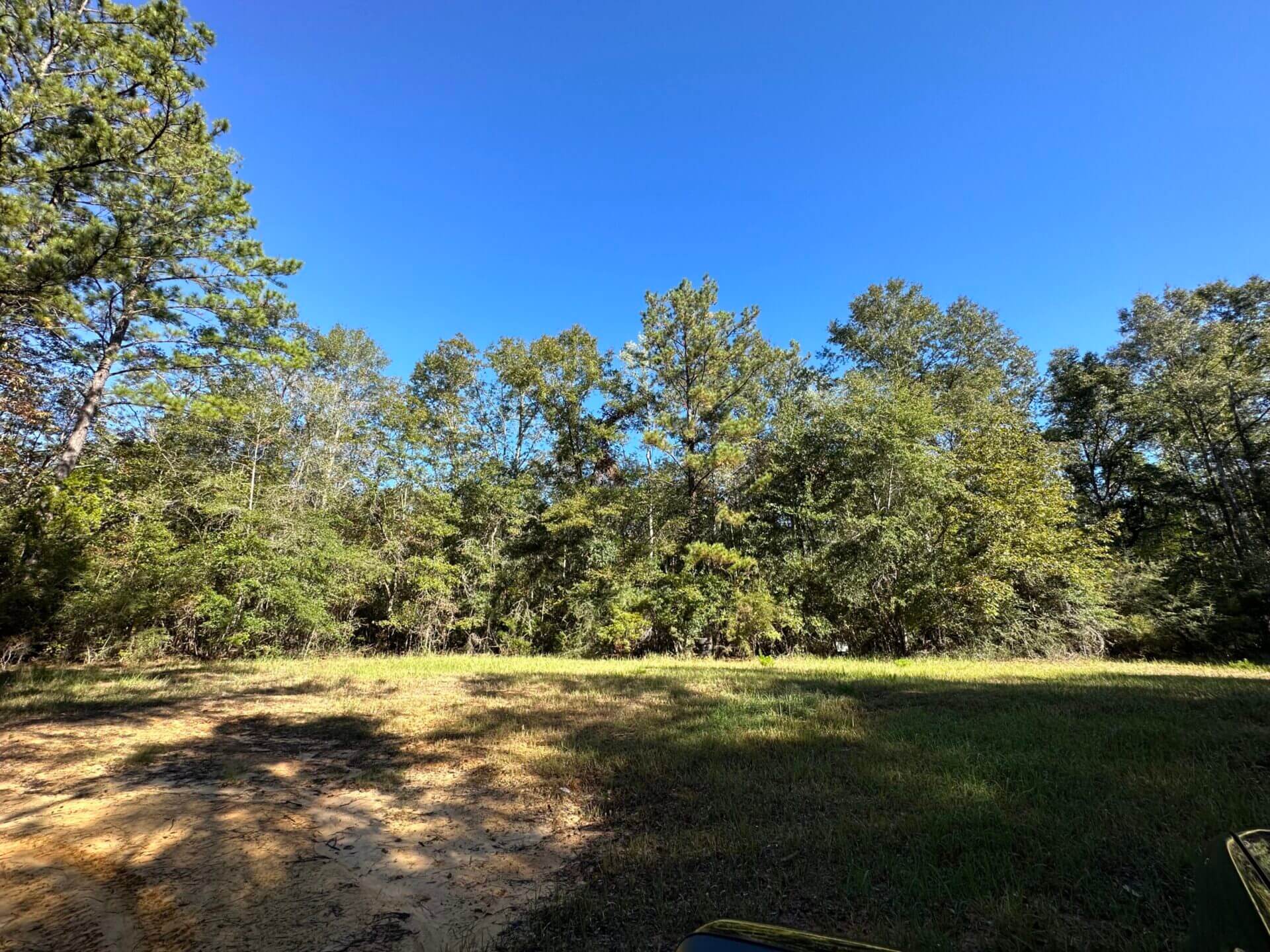 CENTER STREET TRACT 144 ACRES CITRONELLE, AL Butler Land & Timber Co