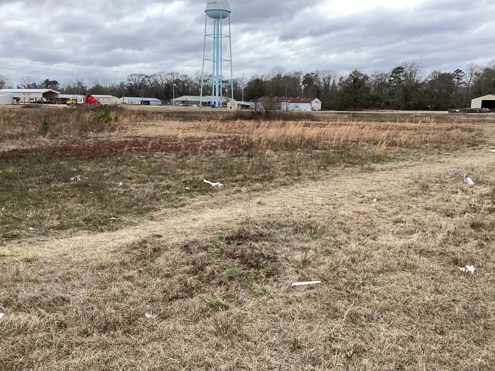 MARTIN COMMERCIAL LOT 2.5 ACRES LUVERNE, ALABAMA Butler Land