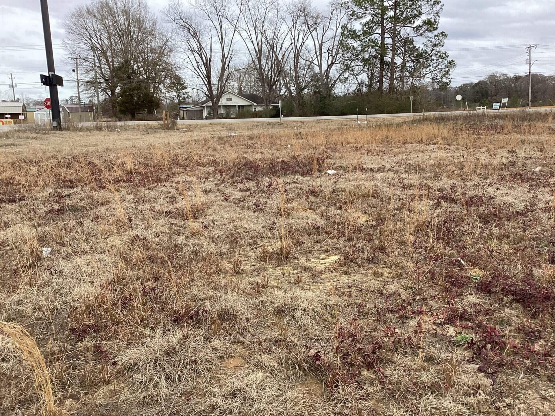 MARTIN COMMERCIAL LOT 2.5 ACRES LUVERNE, ALABAMA Butler Land