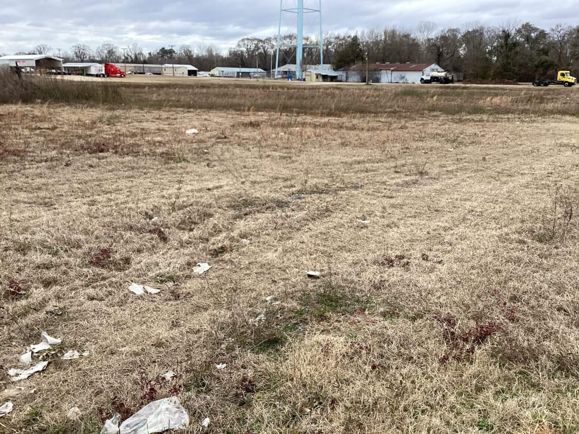 MARTIN COMMERCIAL LOT 2.5 ACRES LUVERNE, ALABAMA Butler Land