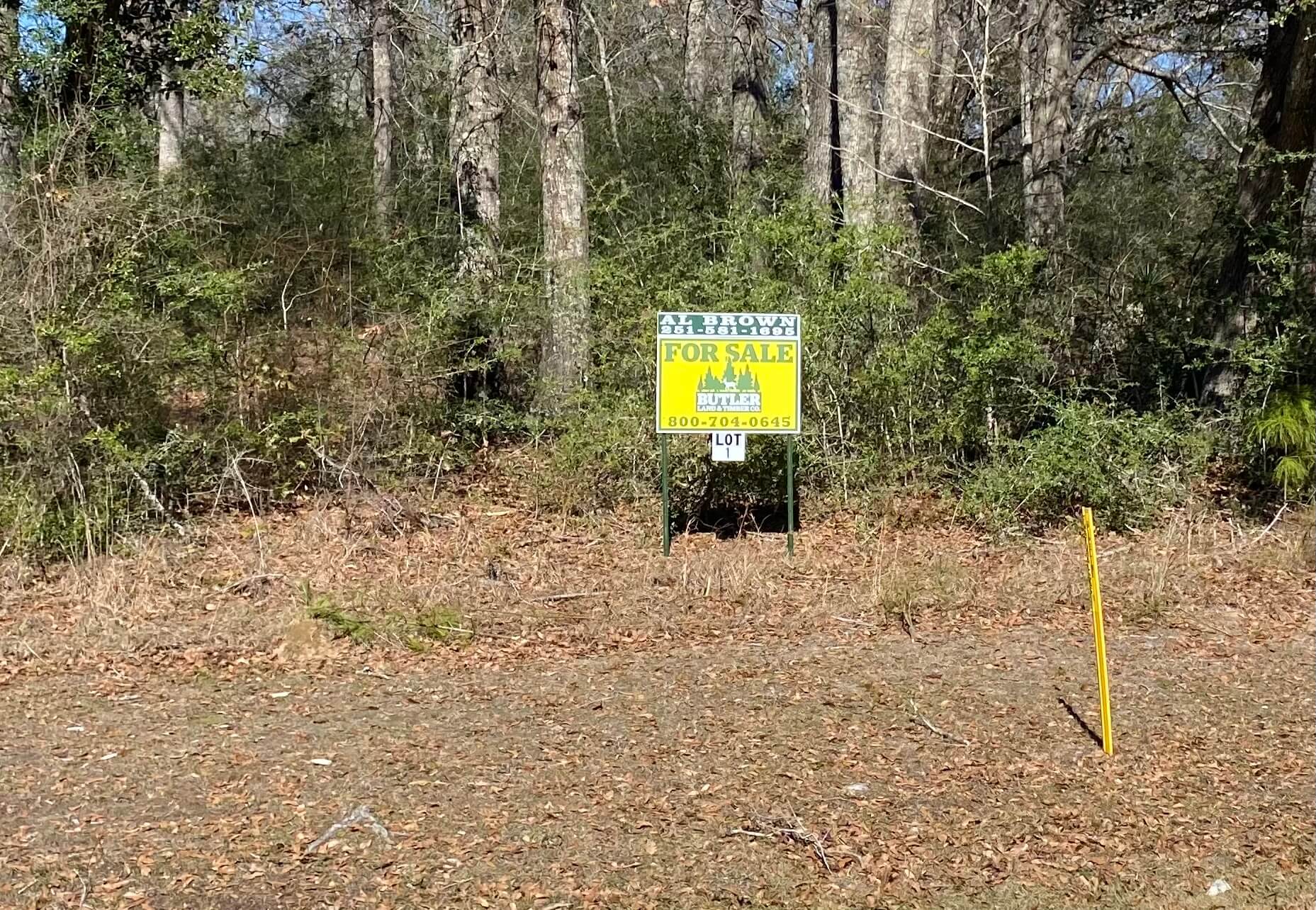 JEFFERSON AVENUE LOTS 2 LOTS WASHINGTON COUNTY, ALABAMA Butler