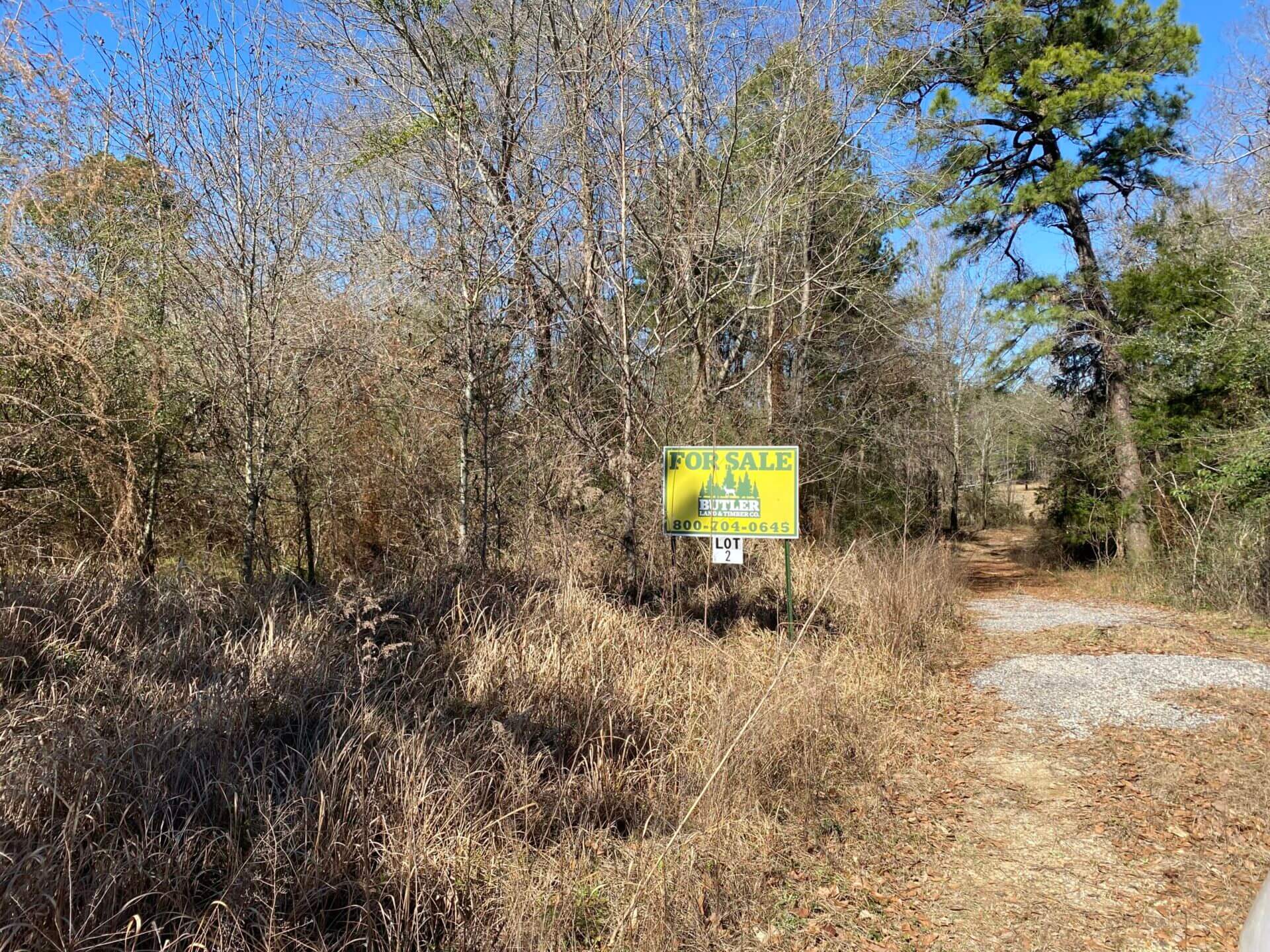 JEFFERSON AVENUE LOTS 2 LOTS WASHINGTON COUNTY, ALABAMA Butler