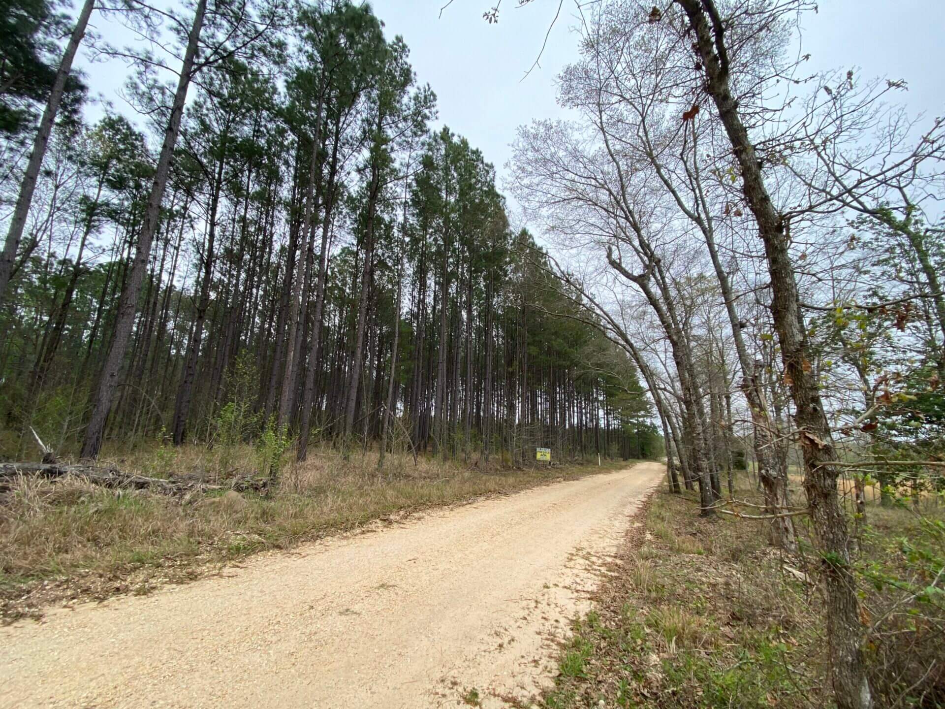 HOWARDTOWN 5 ACRES WASHINGTON COUNTY, ALABAMA Butler Land & Timber Co