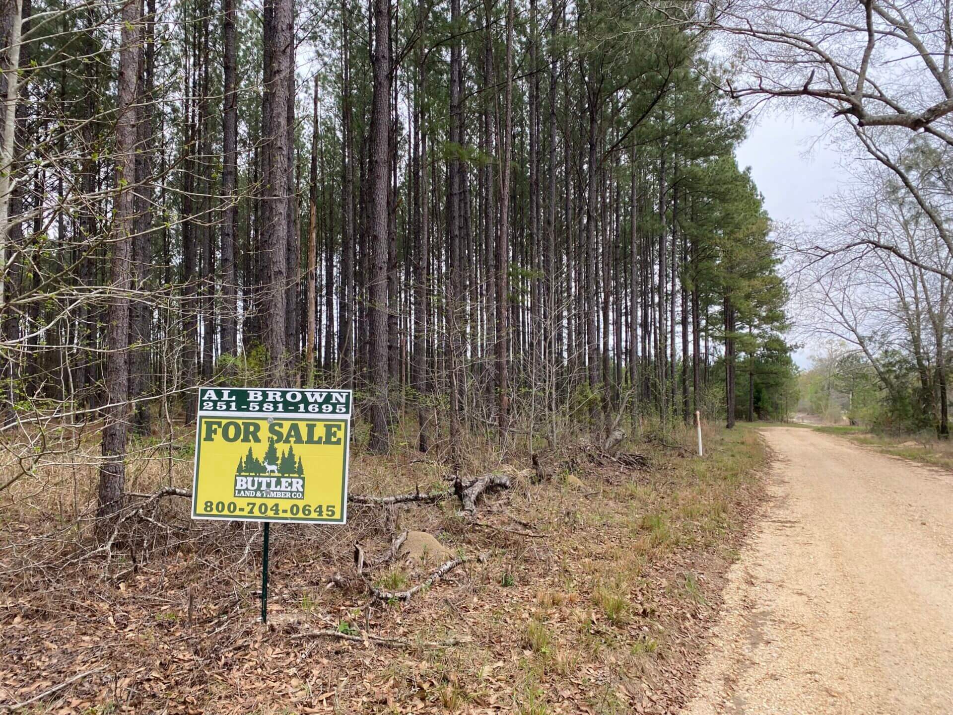HOWARDTOWN 5 ACRES WASHINGTON COUNTY, ALABAMA Butler Land & Timber Co