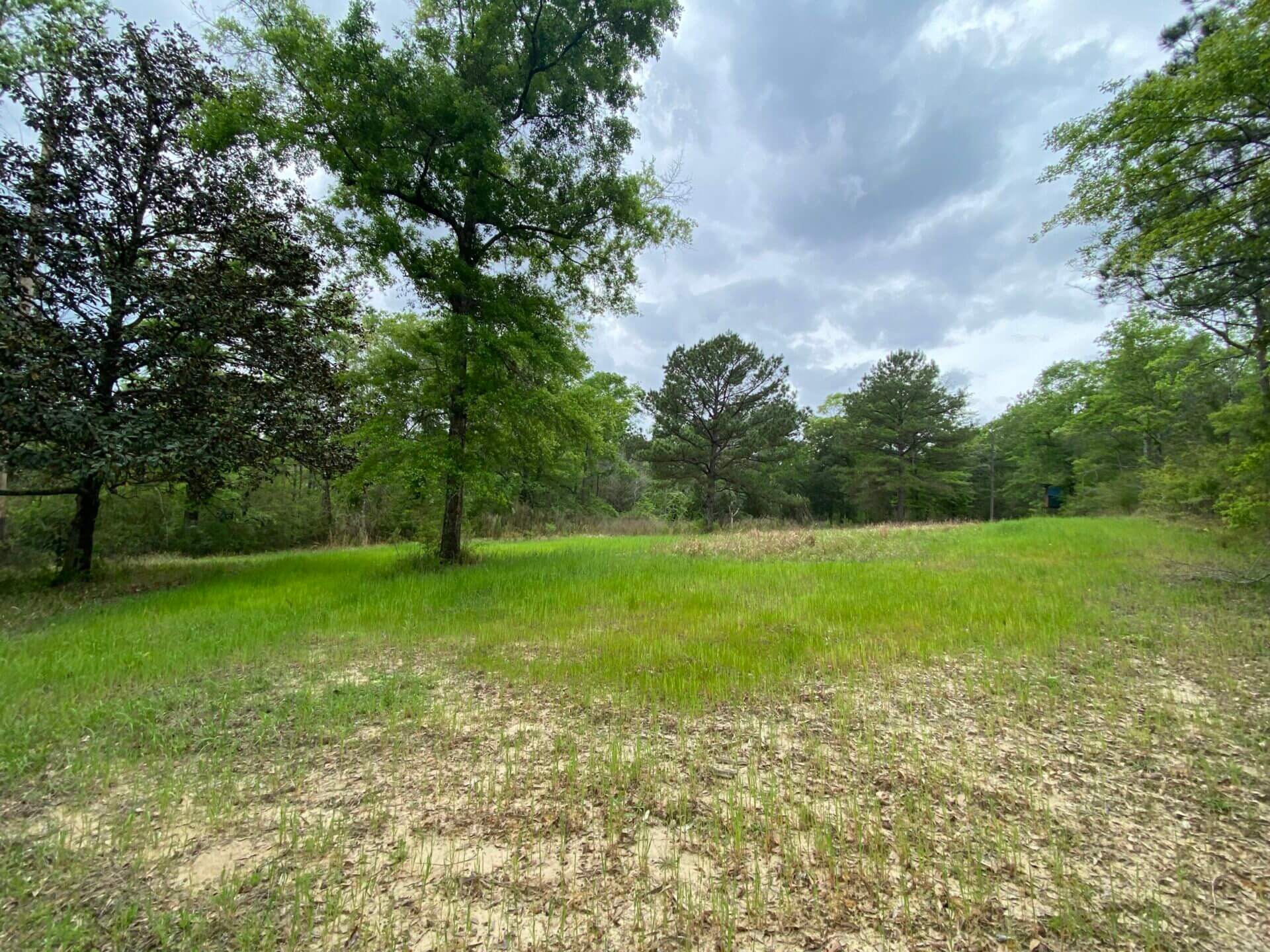 LONNIE WALKER ROAD TRACT 13.5 ACRES CITRONELLE, AL Butler Land