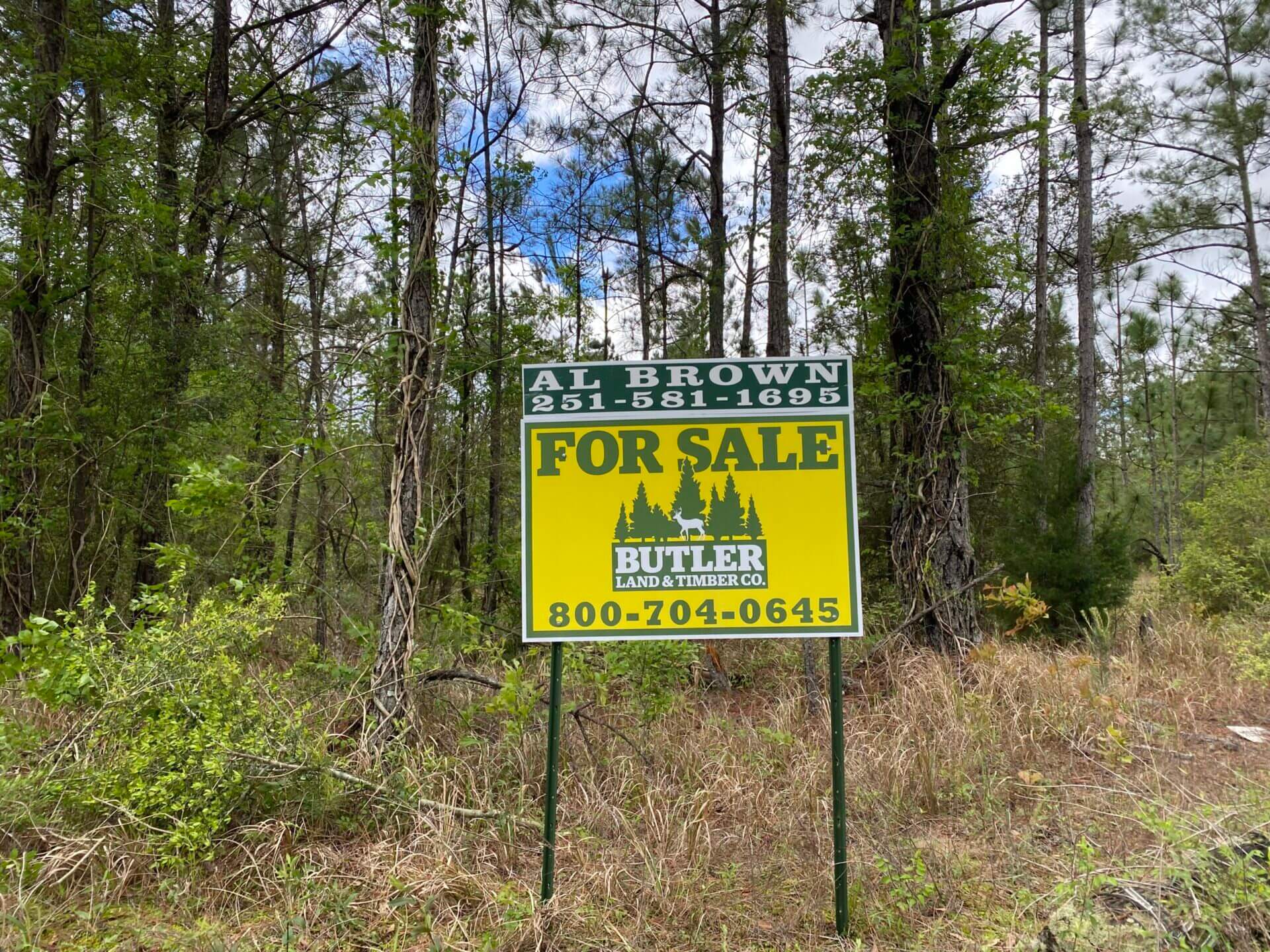 LONNIE WALKER ROAD TRACT 13.5 ACRES CITRONELLE, AL Butler Land