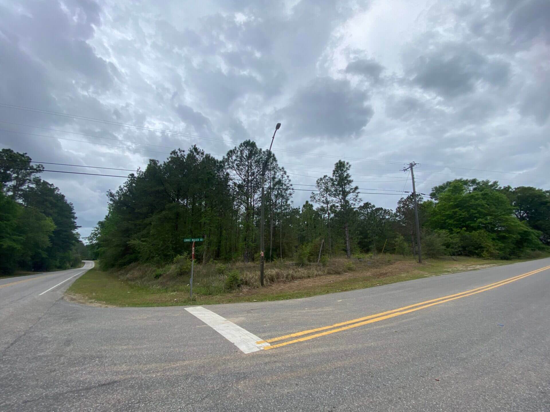 LONNIE WALKER ROAD TRACT 13.5 ACRES CITRONELLE, AL Butler Land