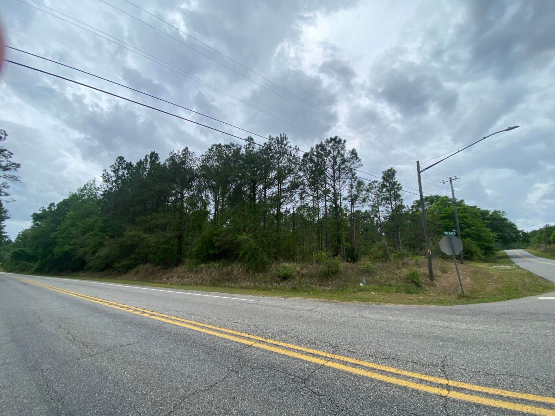 LONNIE WALKER ROAD TRACT 13.5 ACRES CITRONELLE, AL Butler Land