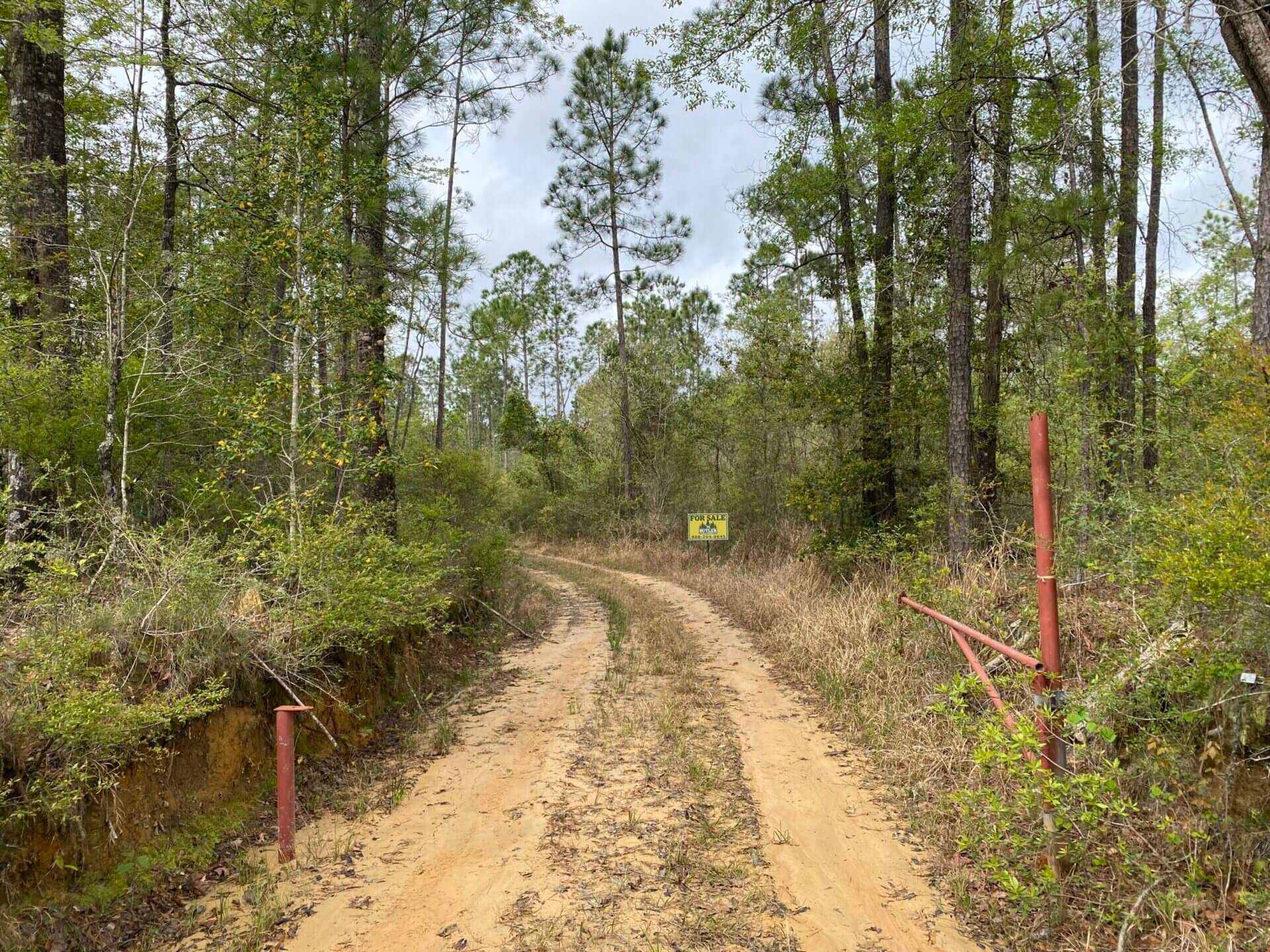 TIBBIE 490 ACRES WASHINGTON COUNTY, ALABAMA Butler Land & Timber Co