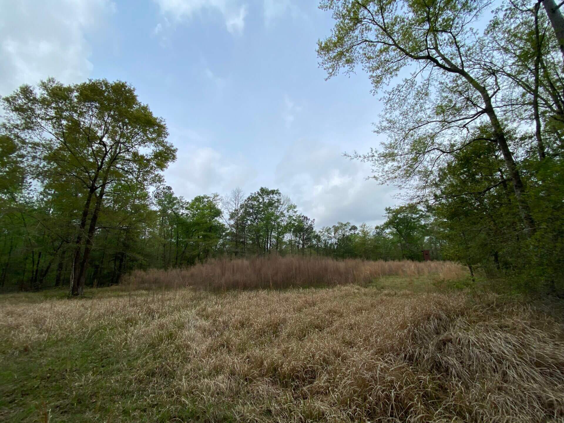 TIBBIE 490 ACRES WASHINGTON COUNTY, ALABAMA Butler Land & Timber Co