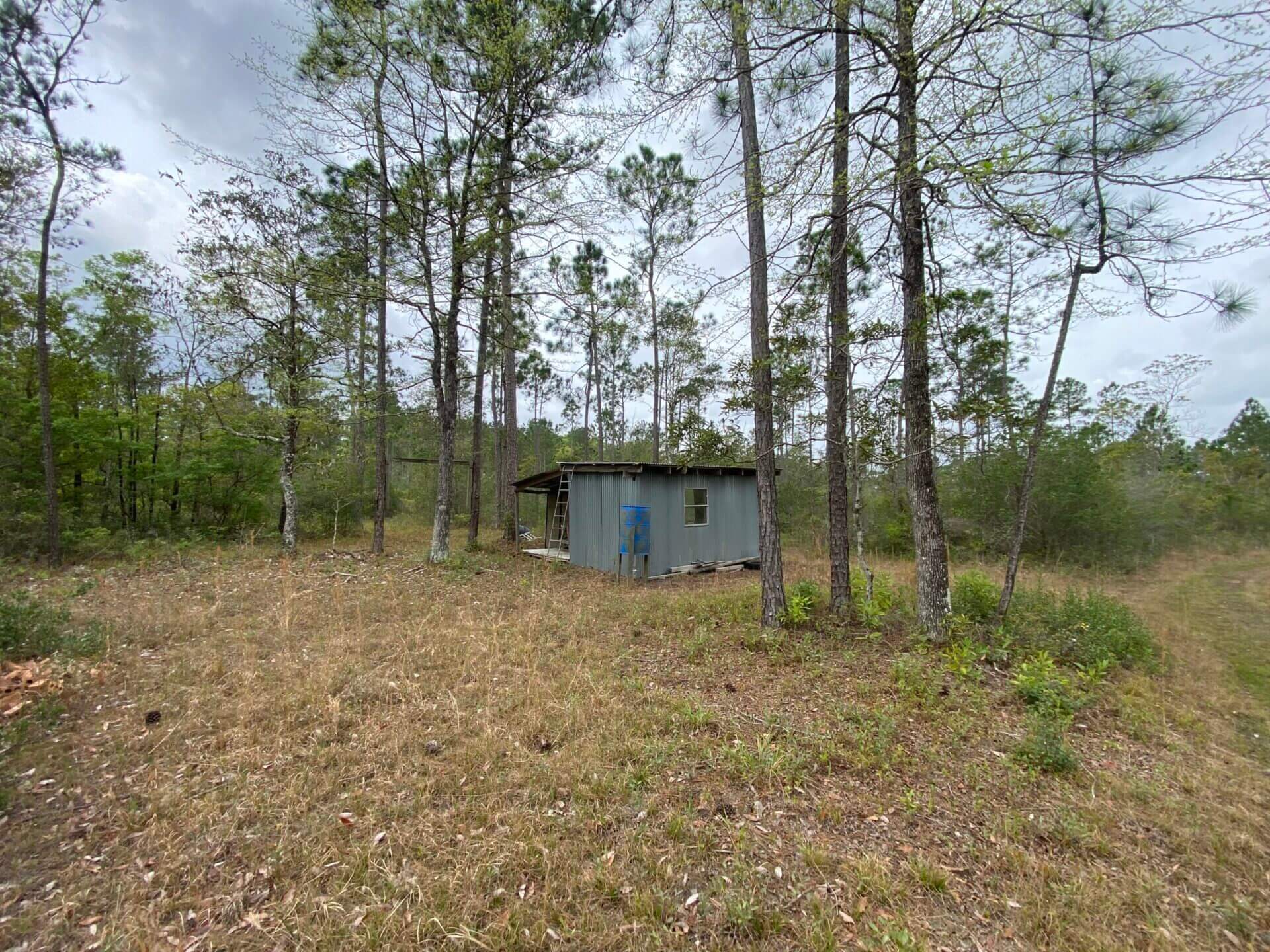 TIBBIE 490 ACRES WASHINGTON COUNTY, ALABAMA Butler Land & Timber Co