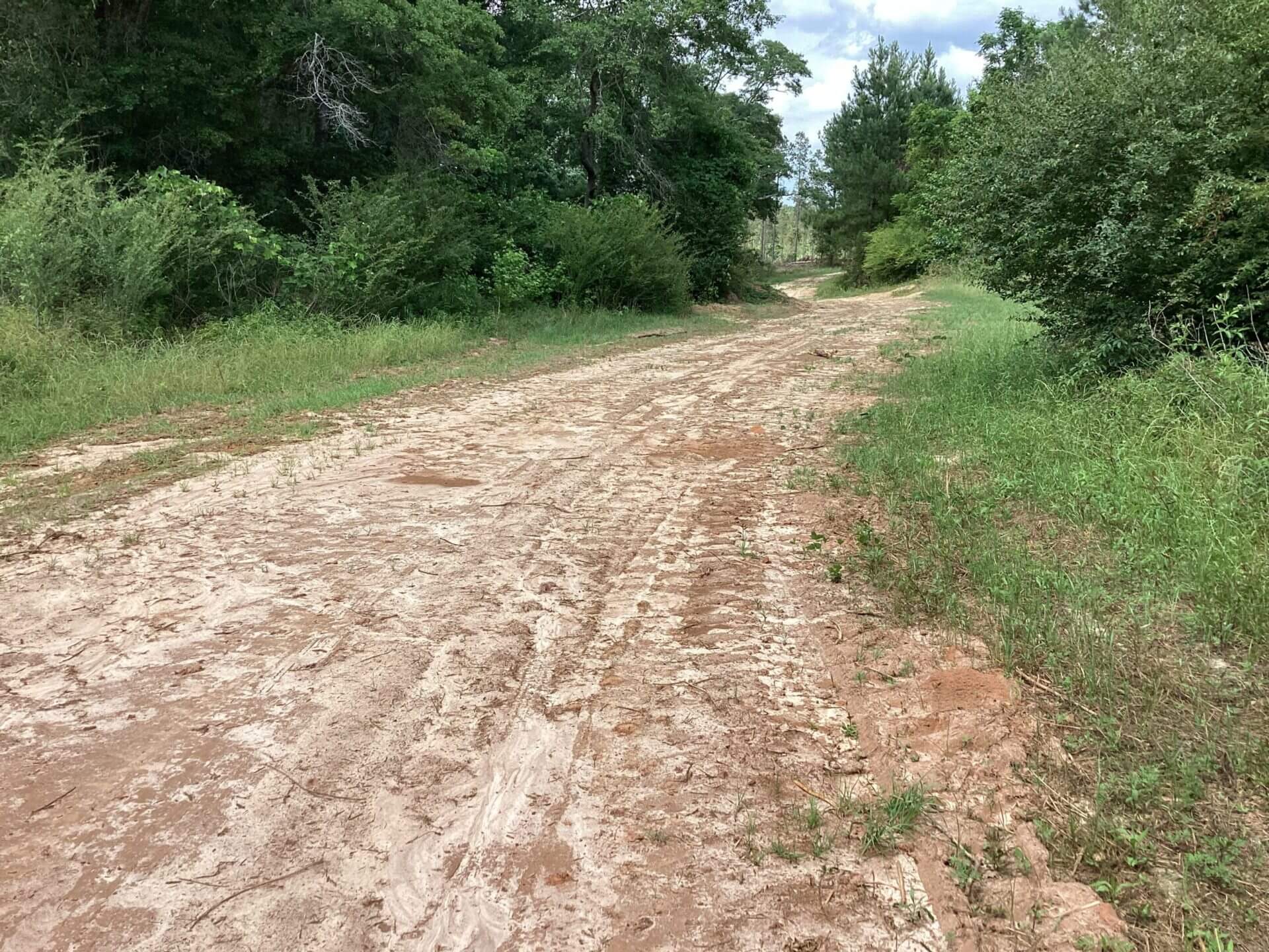 COUNTY ROAD 364 LOTS 5 LOTS 14 +/ ACRES COFFEE COUNTY, ALABAMA