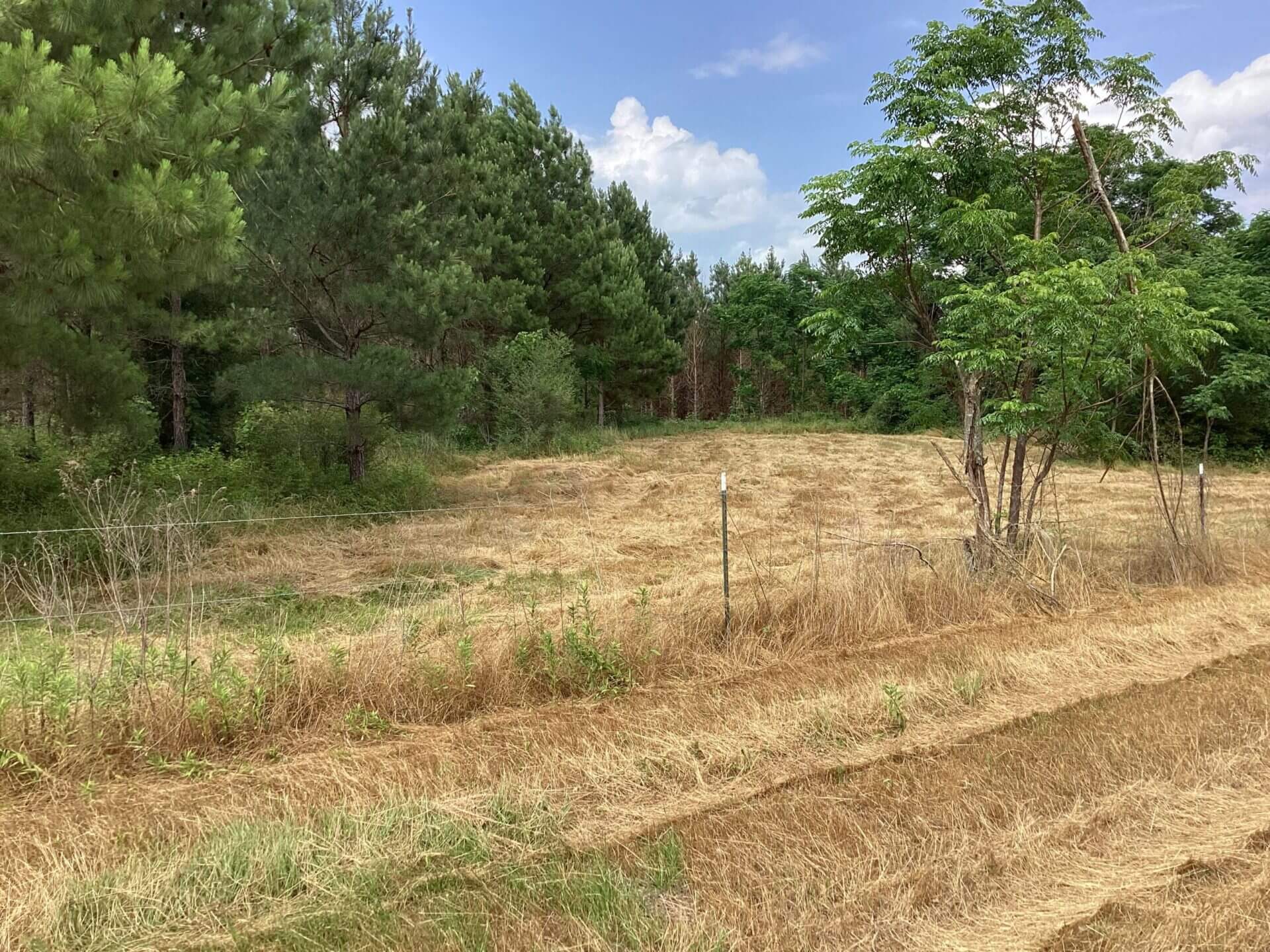 COUNTY ROAD 364 LOTS 5 LOTS 14 +/ ACRES COFFEE COUNTY, ALABAMA