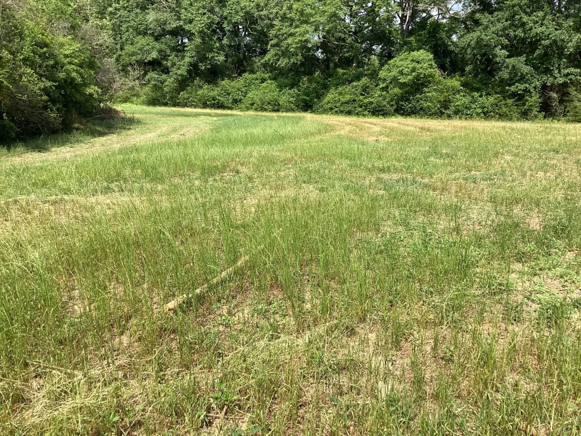 COUNTY ROAD 364 LOTS 5 LOTS 14 +/ ACRES COFFEE COUNTY, ALABAMA