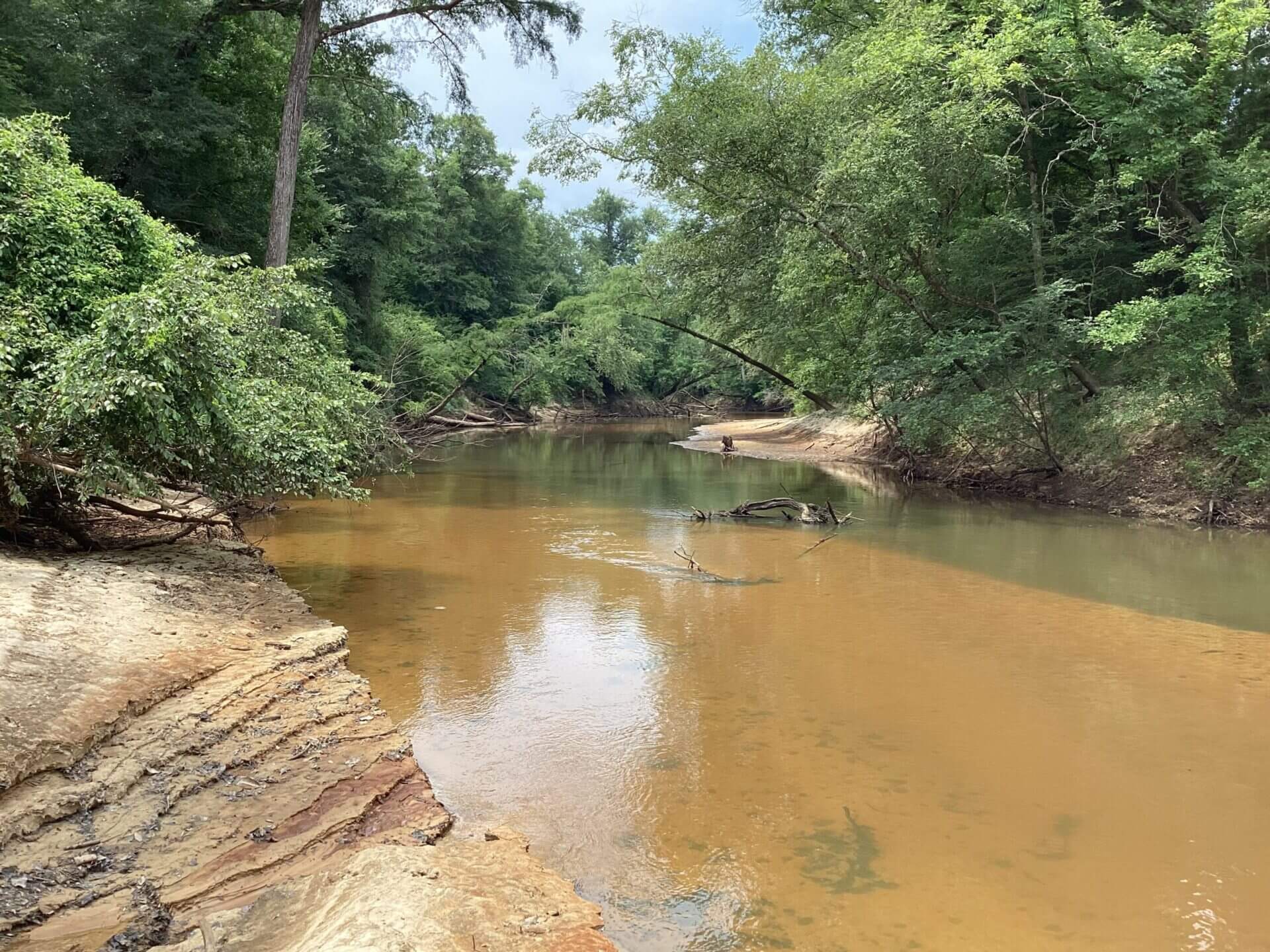 HWY 106 RIVER TRACT 52 +/ ACRES BRANTLEY, ALABAMA Butler Land & Timber Co