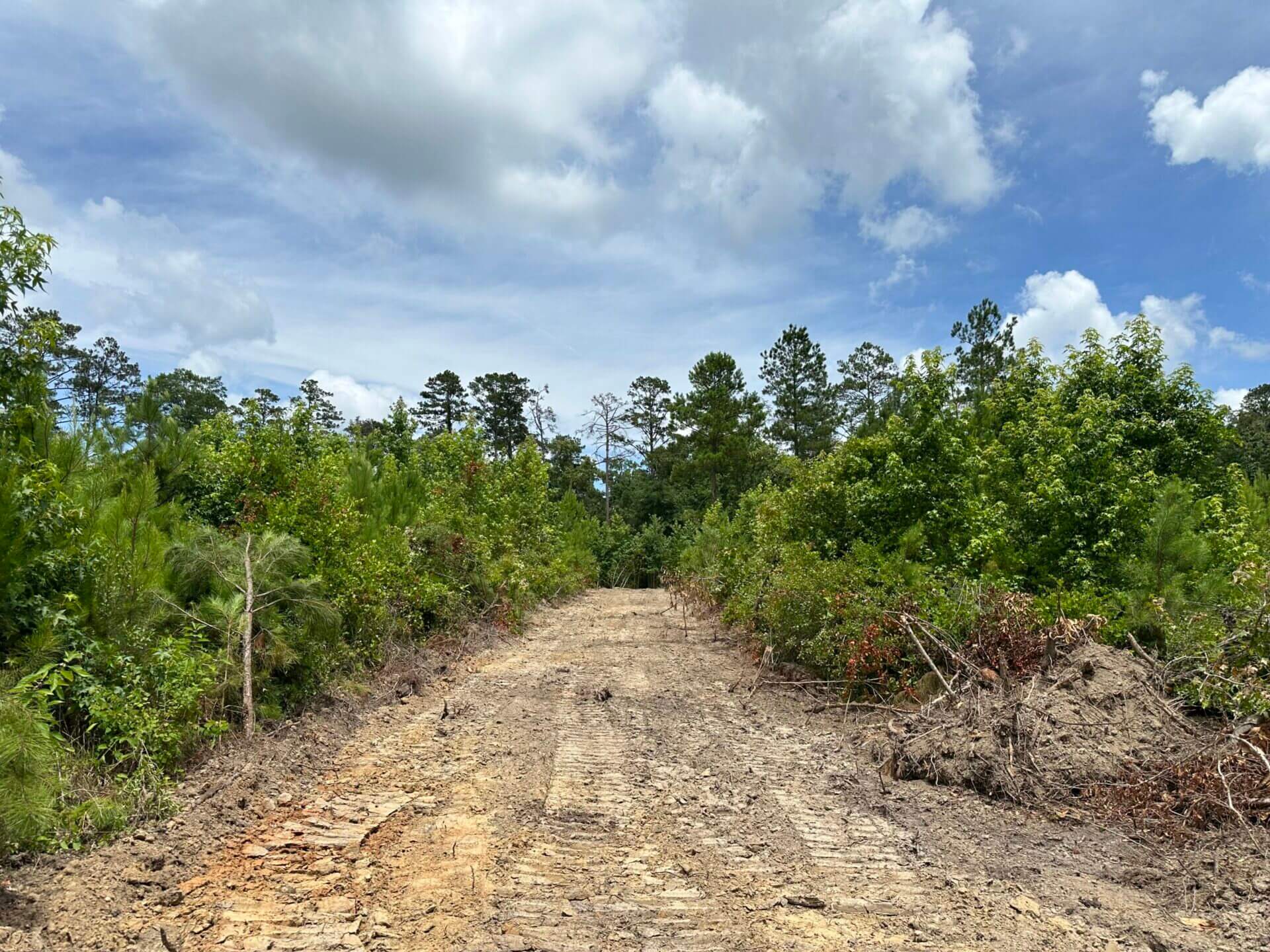 FIRETOWER ROAD LOT 1 12 ACRES BUTLER COUNTY, ALABAMA Butler Land