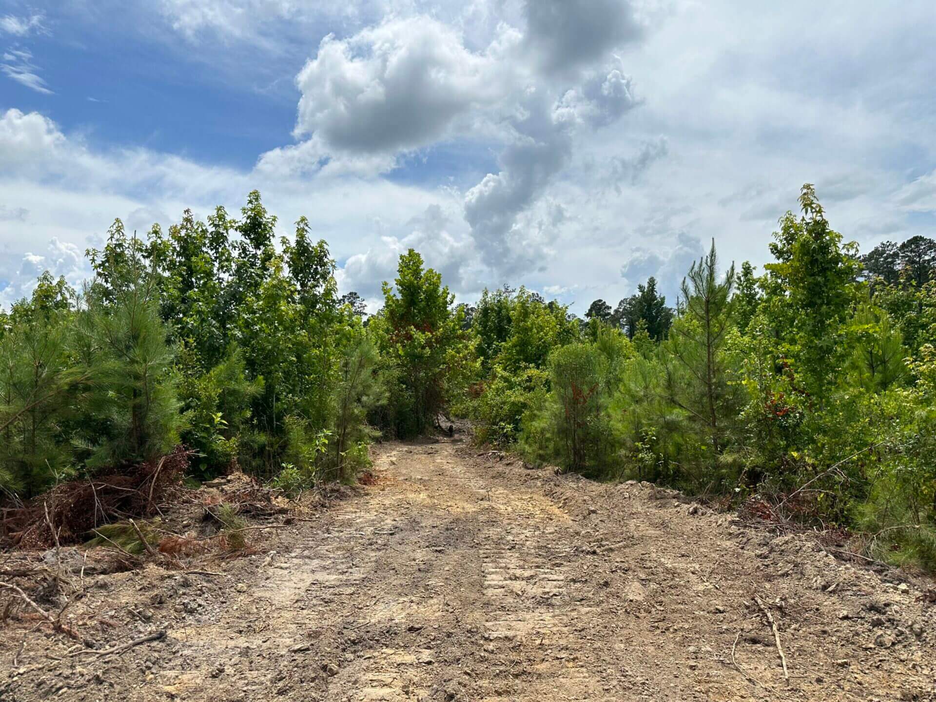 FIRETOWER ROAD LOT 1 12 ACRES BUTLER COUNTY, ALABAMA Butler Land