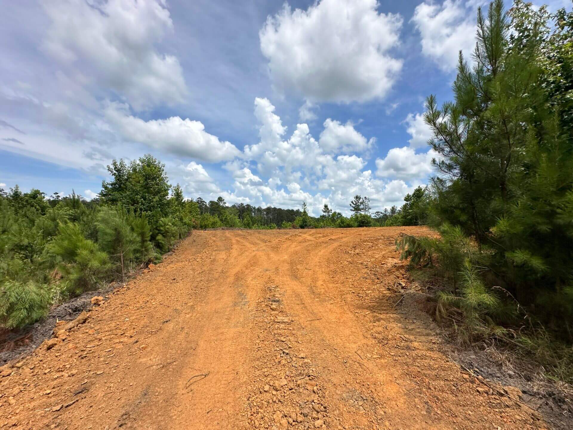 FIRETOWER ROAD LOT 2 6 ACRES BUTLER COUNTY, ALABAMA Butler Land