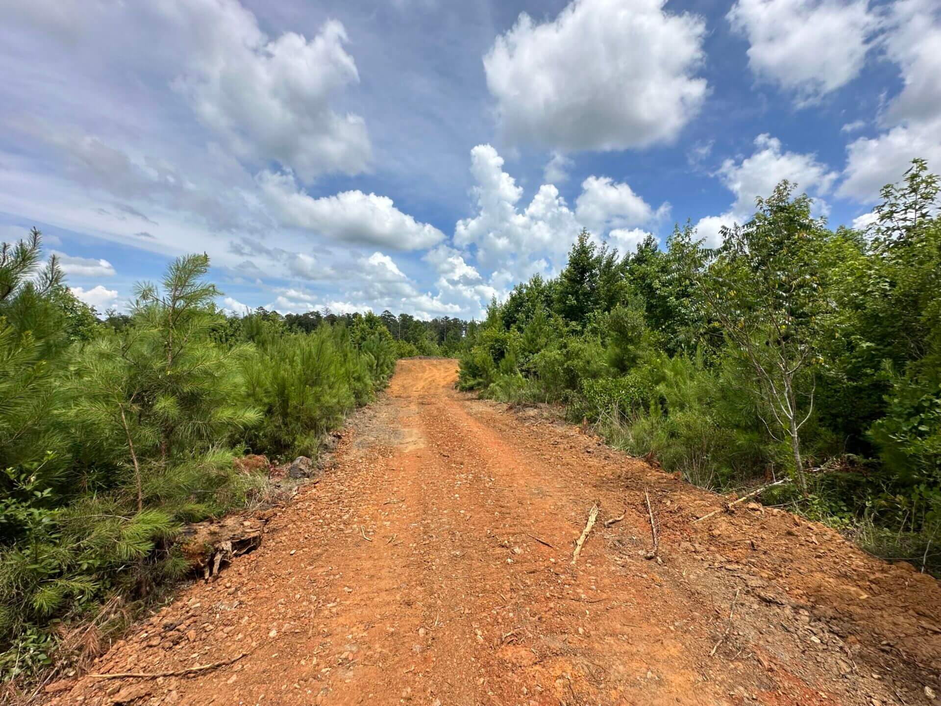 FIRETOWER ROAD LOT 2 6 ACRES BUTLER COUNTY, ALABAMA Butler Land