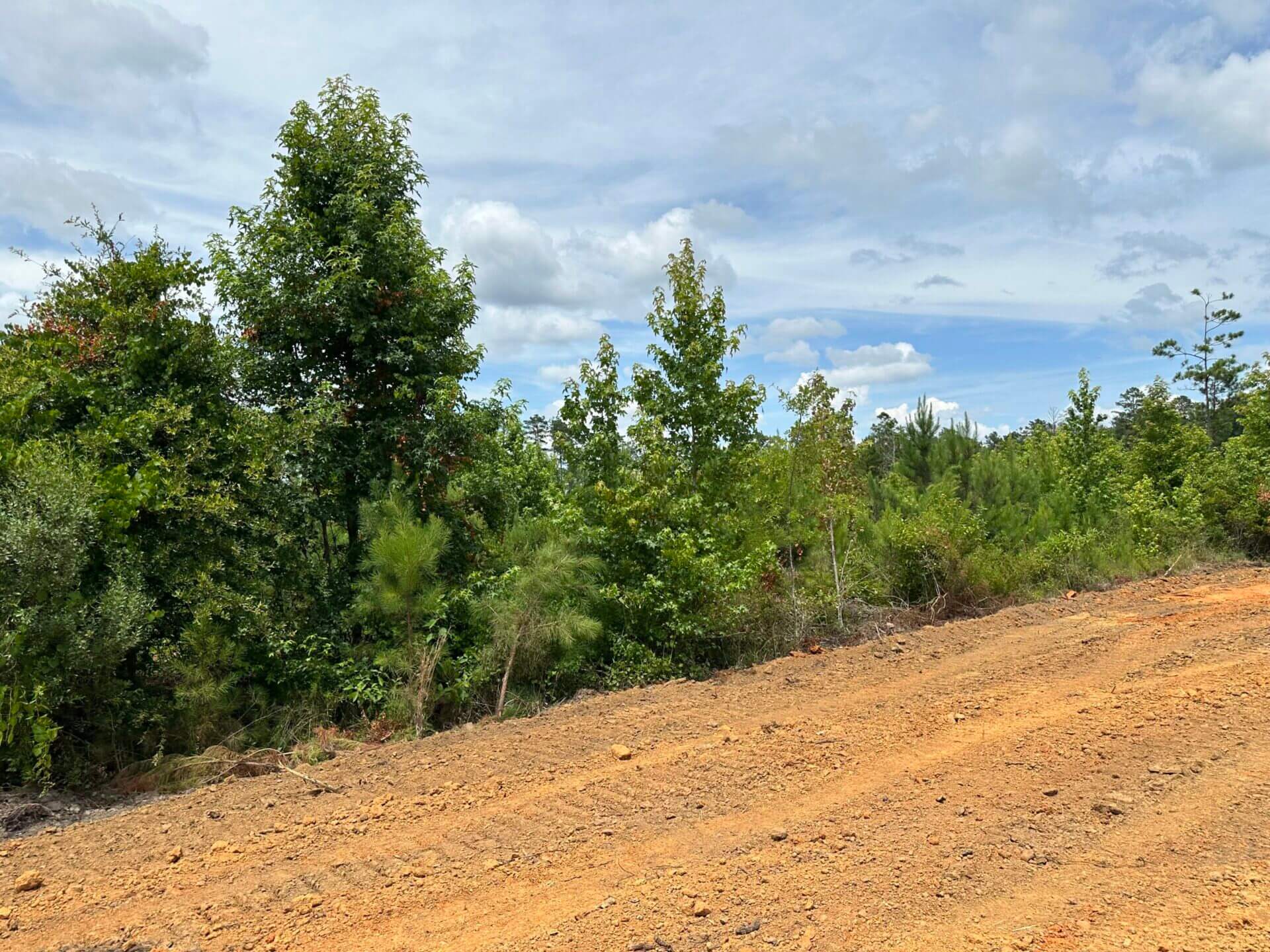 FIRETOWER ROAD LOT 2 6 ACRES BUTLER COUNTY, ALABAMA Butler Land