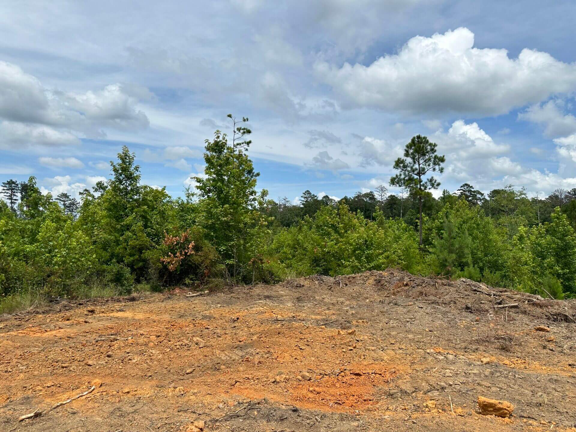 FIRETOWER ROAD LOT 2 6 ACRES BUTLER COUNTY, ALABAMA Butler Land