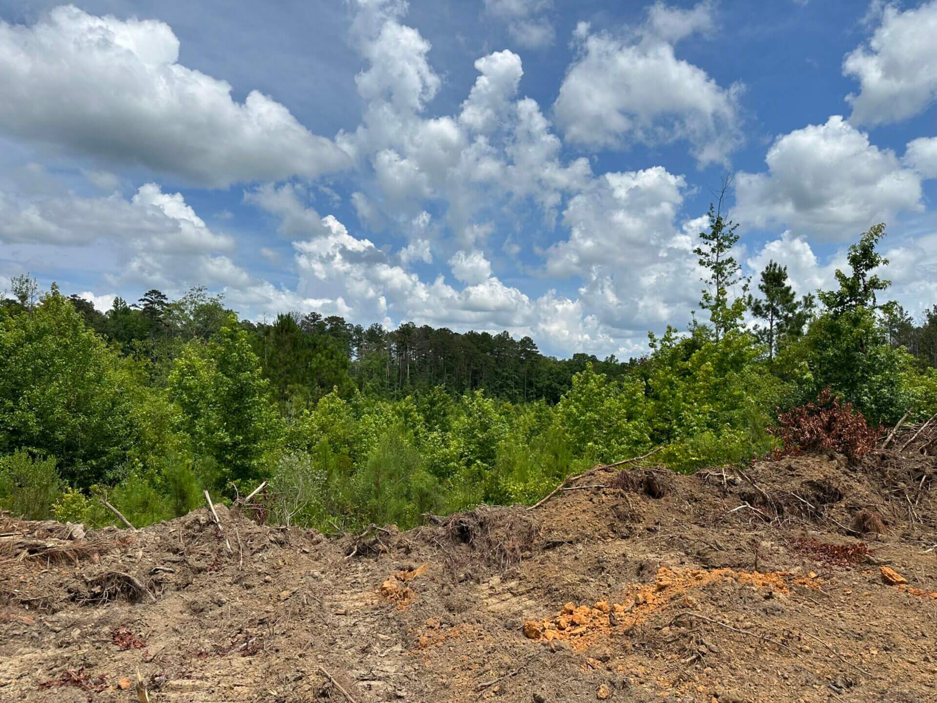 FIRETOWER ROAD LOT 2 6 ACRES BUTLER COUNTY, ALABAMA Butler Land