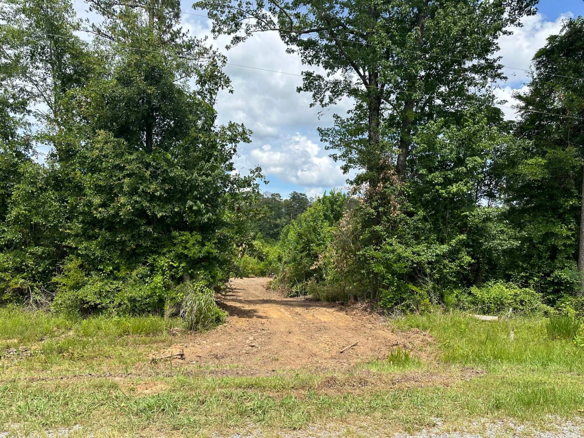FIRETOWER ROAD LOT 3 6 ACRES BUTLER COUNTY, ALABAMA Butler Land & Timber Co