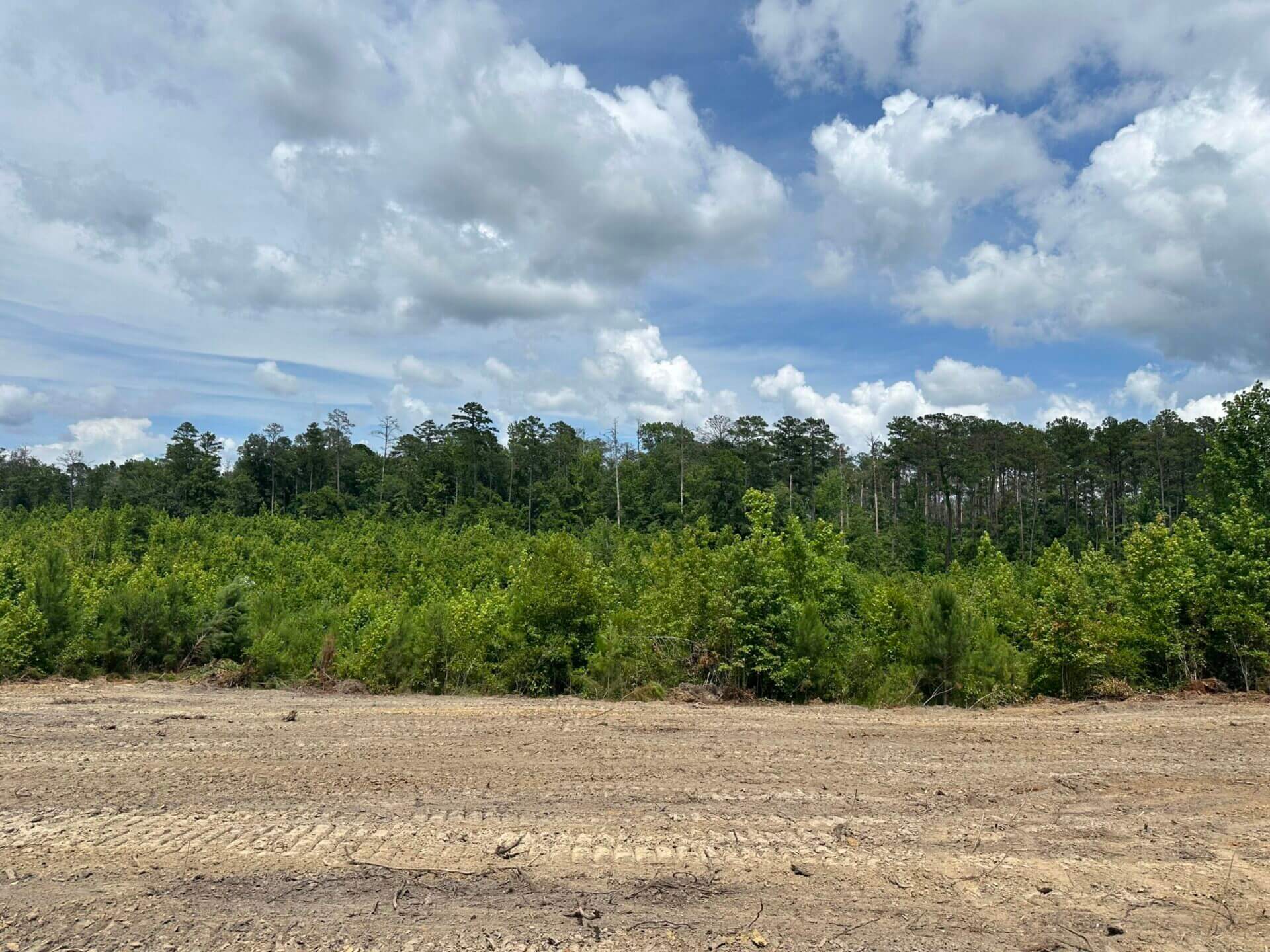 FIRETOWER ROAD LOT 3 6 ACRES BUTLER COUNTY, ALABAMA Butler Land