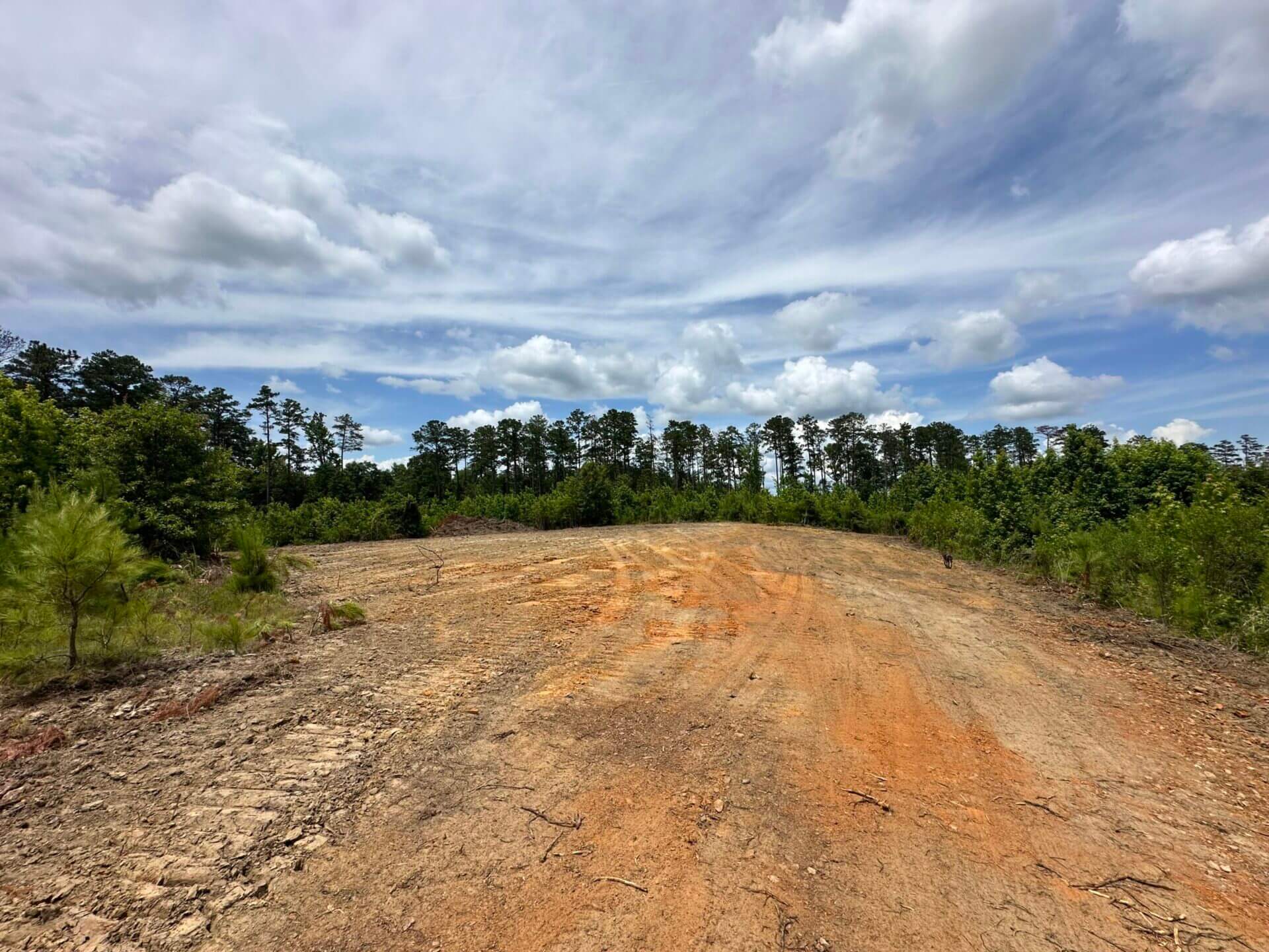 FIRETOWER ROAD LOT 1 12 ACRES BUTLER COUNTY, ALABAMA Butler Land