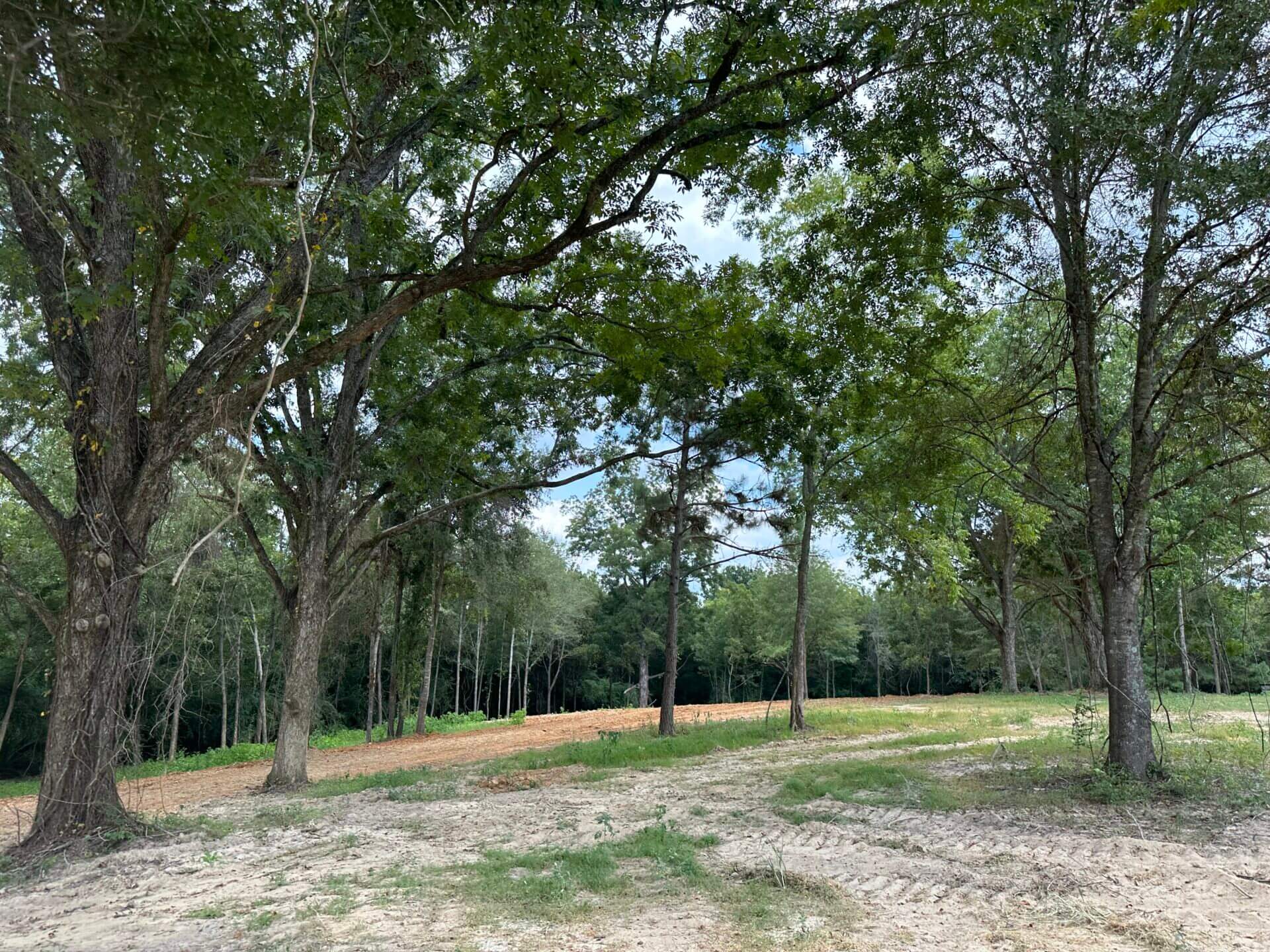 MASHY CREEK TRACT 43 ACRES BUTLER COUNTY, ALABAMA Butler Land